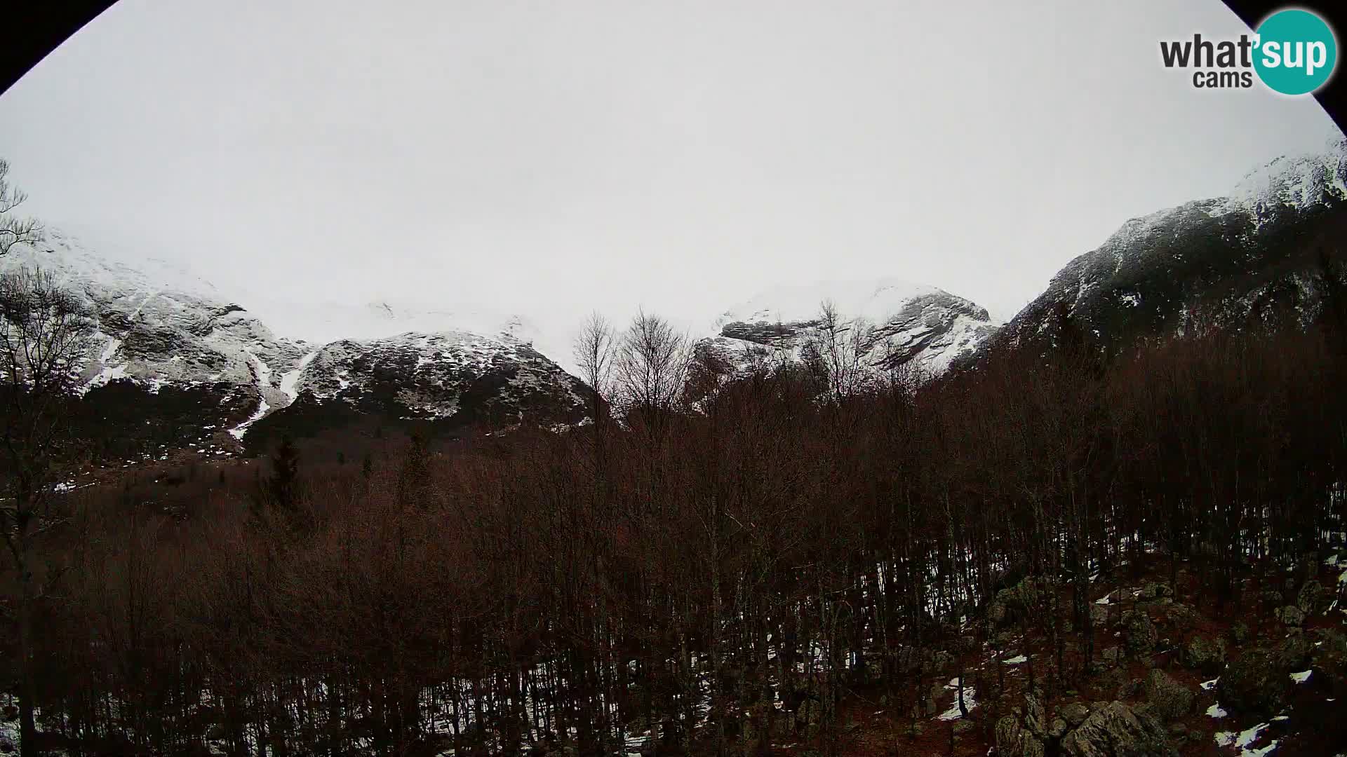 Webcam PLANINA RAZOR (1315) | Blick auf Vogel und Globoko