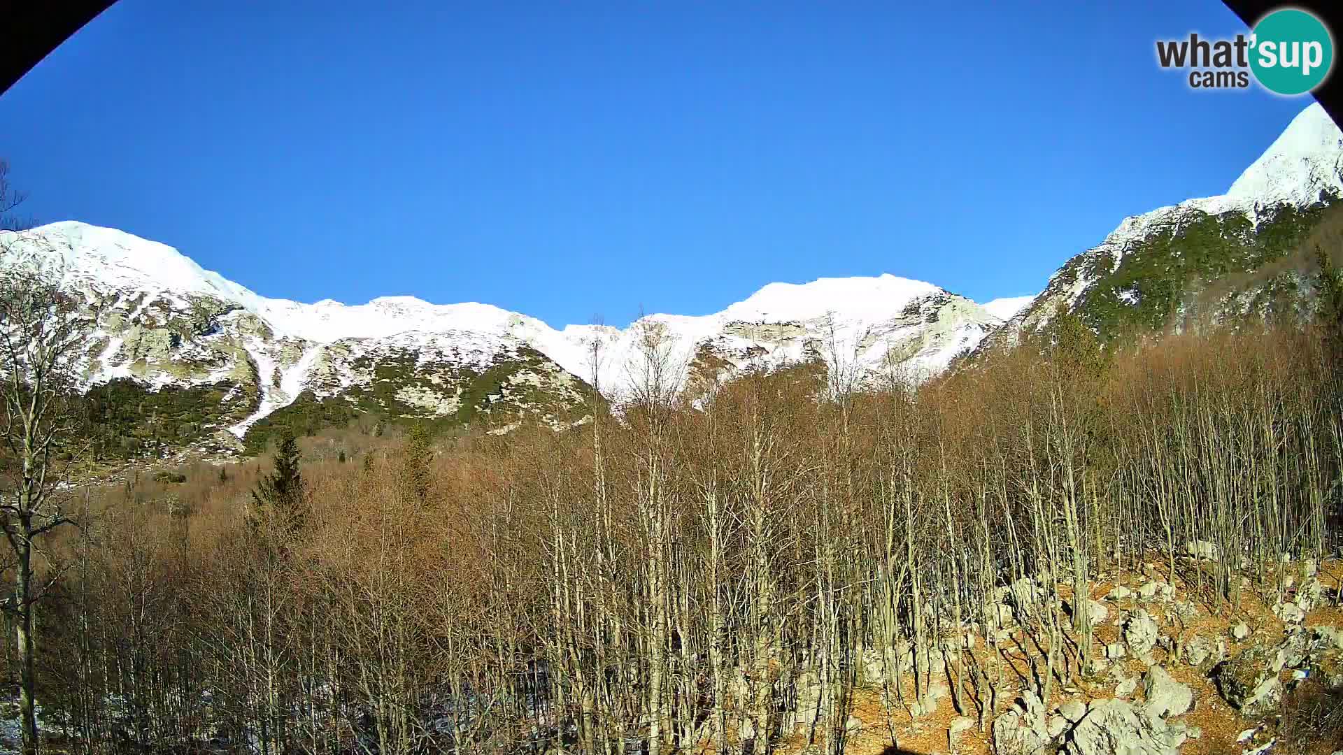 PLANINA RAZOR webcam (1315) | view to Vogel and Globoko