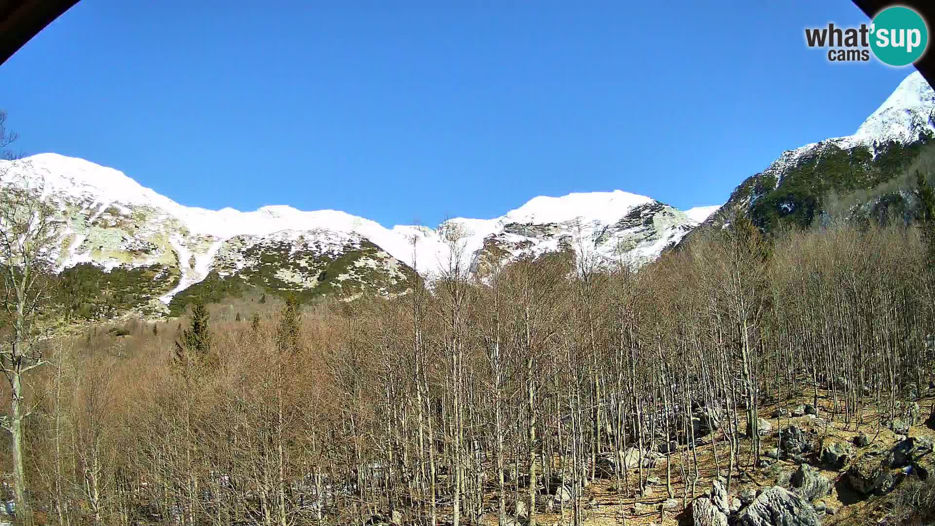 PLANINA RAZOR Live Cam (1315) | vista su Vogel e Globoko