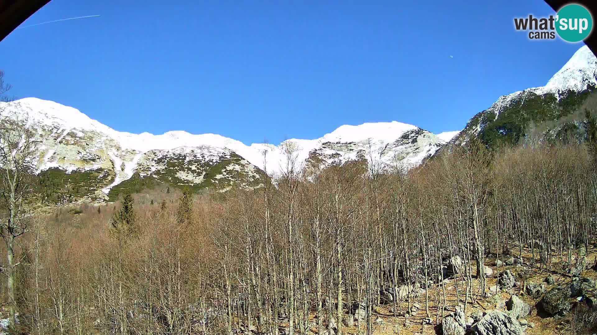 PLANINA RAZOR kamera (1315) | pogled na Vogel in Globoko