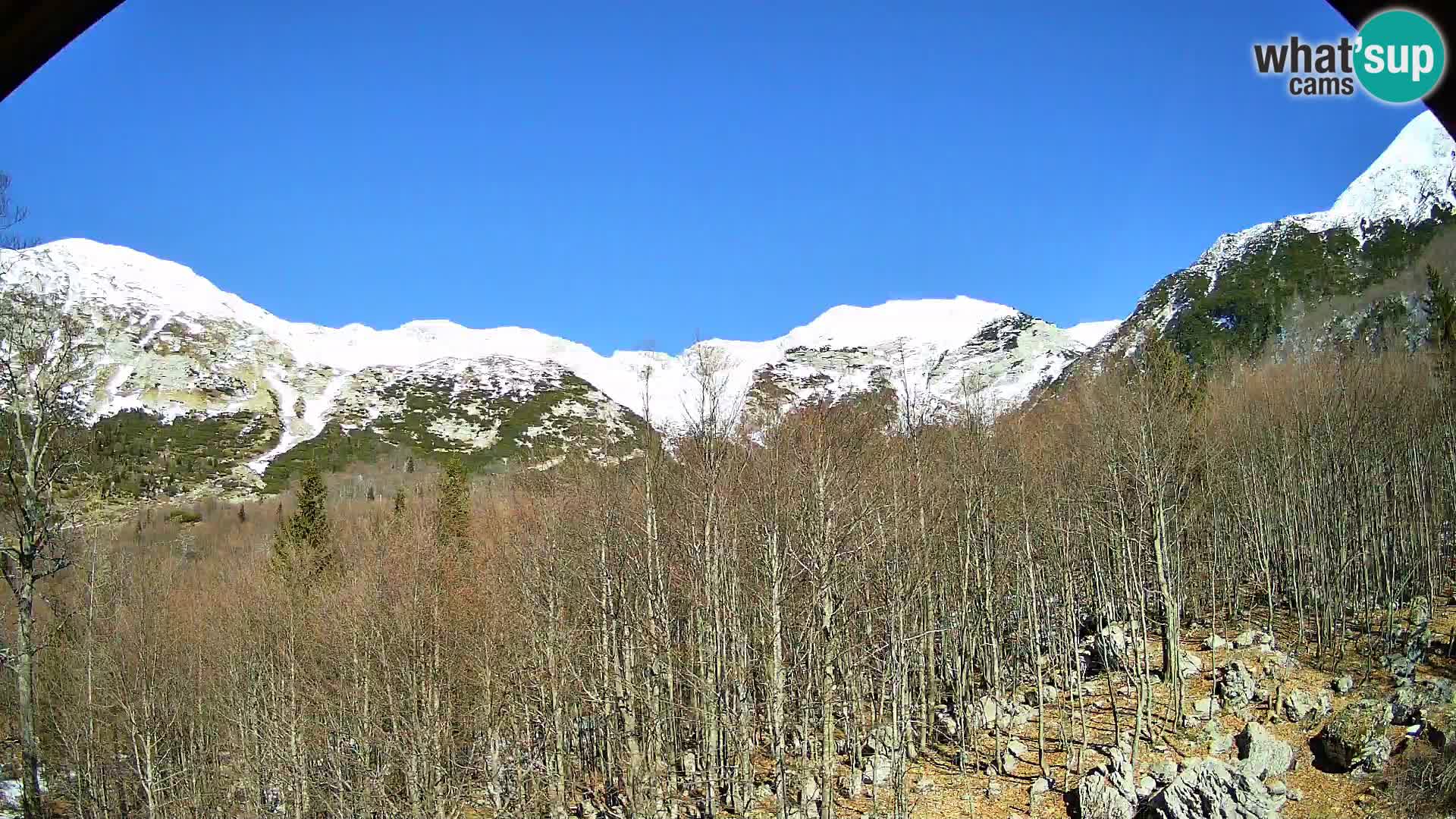 PLANINA RAZOR kamera (1315) | pogled na Vogel in Globoko