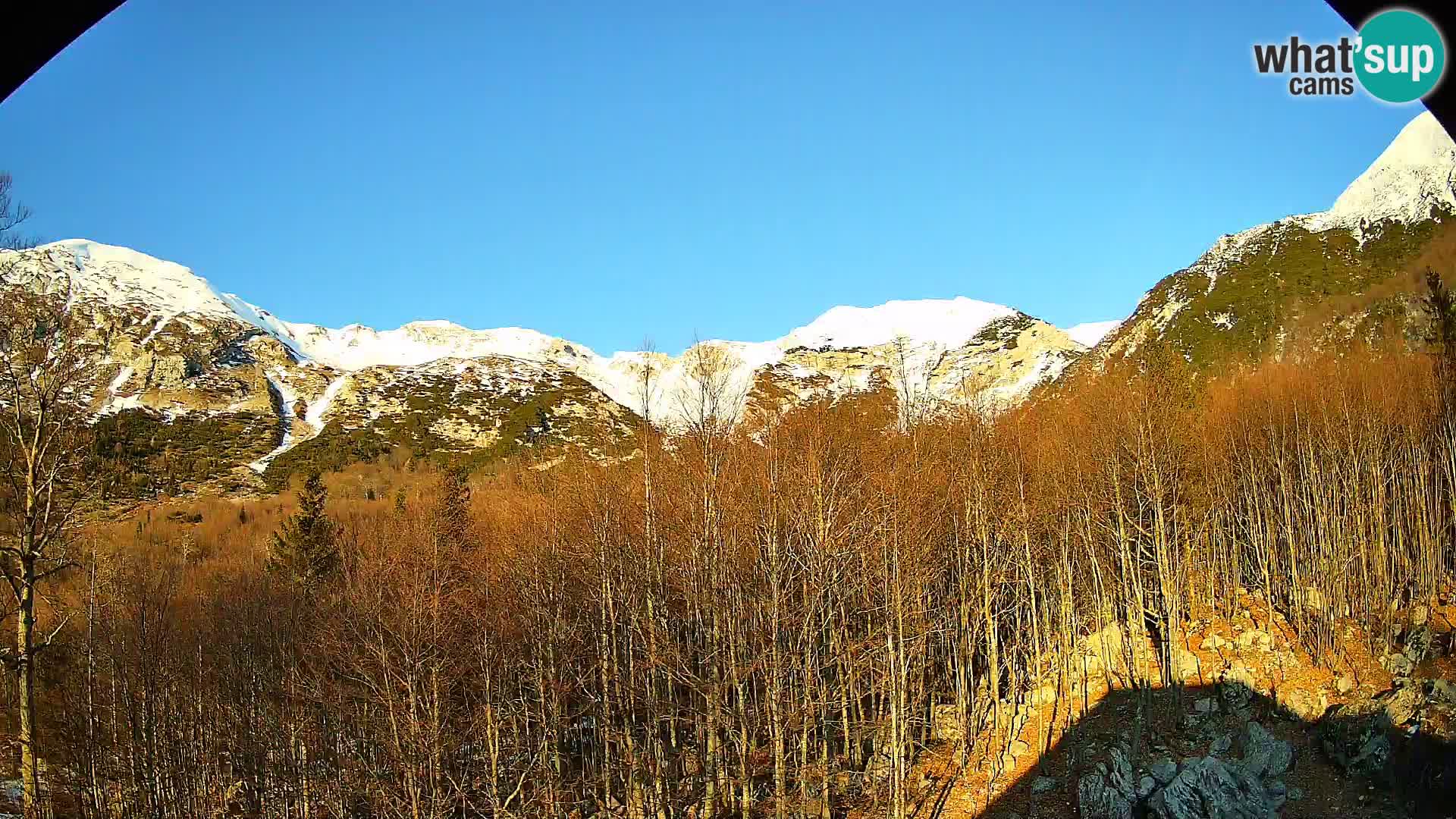 Livecam PLANINA RAZOR (1315) | vue sur Vogel et Globoko