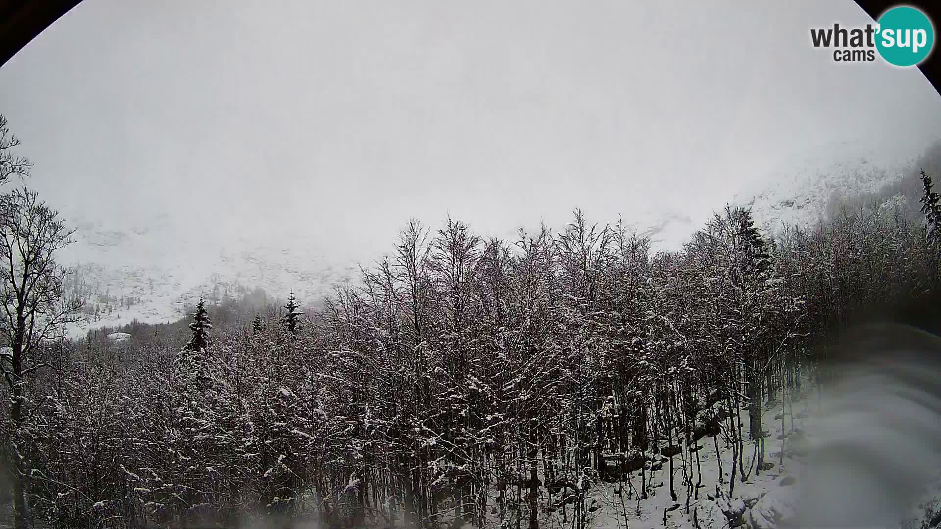 PLANINA RAZOR Live Cam (1315) | vista su Vogel e Globoko