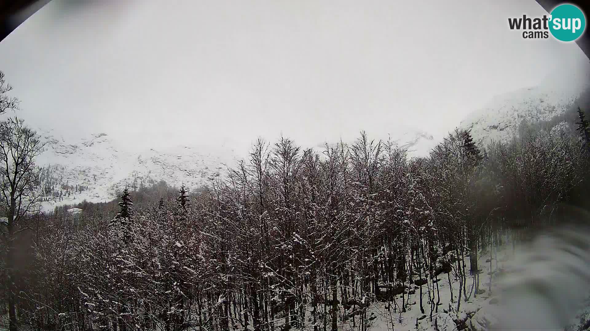 PLANINA RAZOR kamera (1315) | pogled na Vogel in Globoko