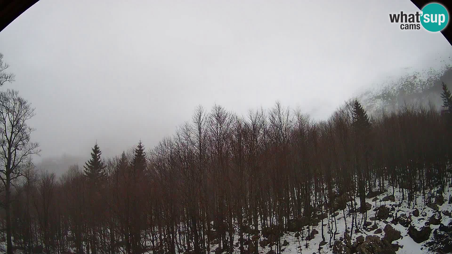 PLANINA RAZOR webcam (1315) | view to Vogel and Globoko