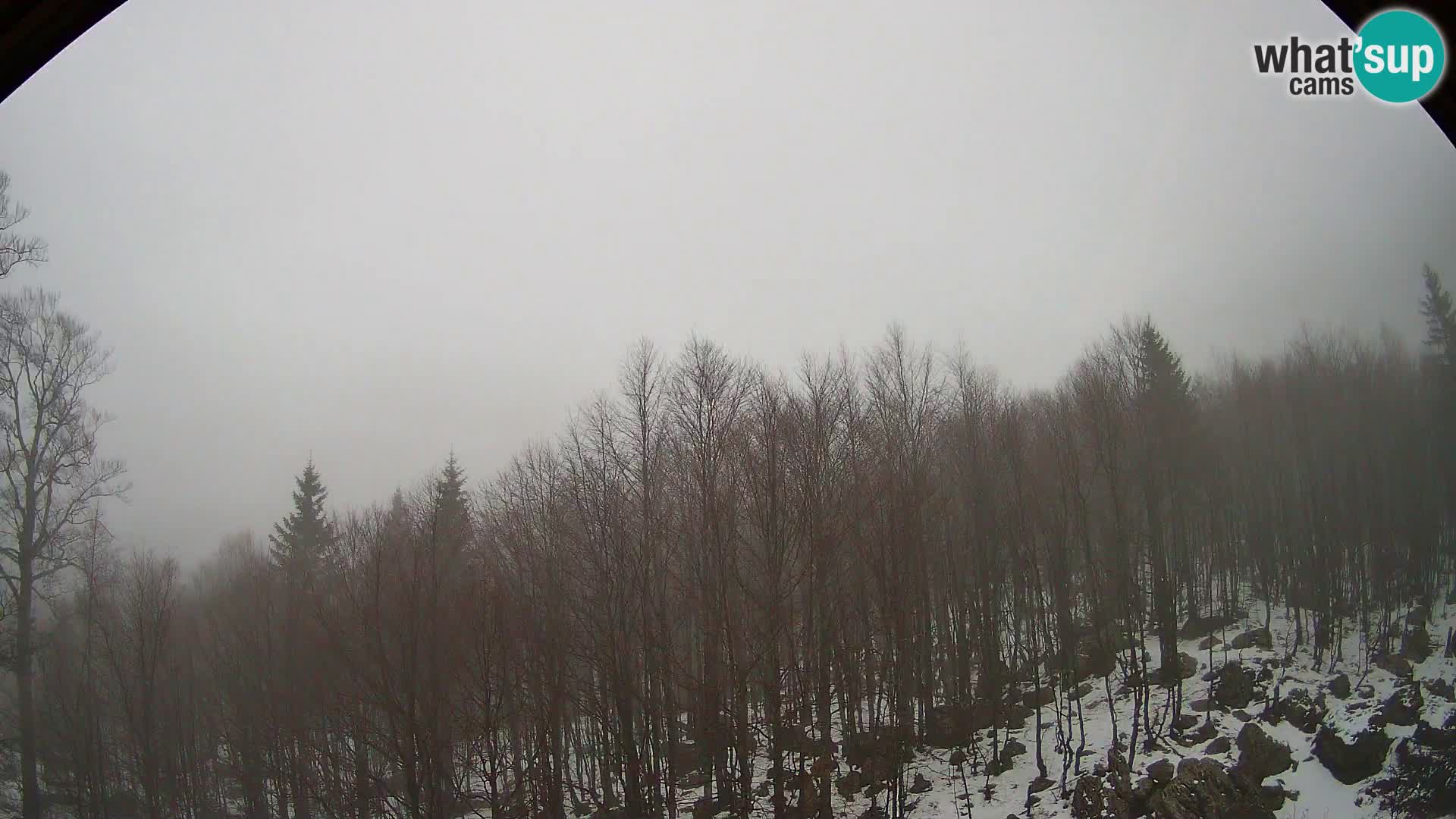 PLANINA RAZOR webcam (1315) | view to Vogel and Globoko