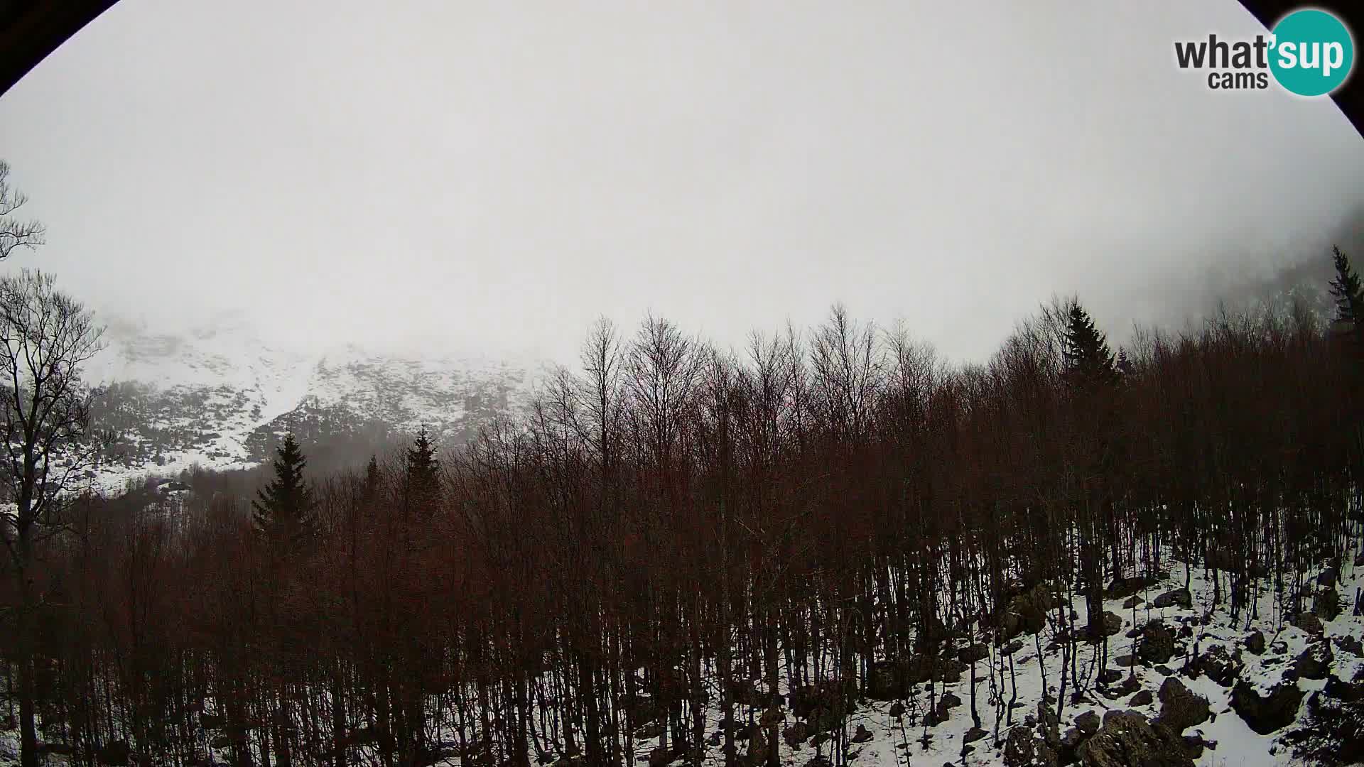 PLANINA RAZOR Live Cam (1315) | vista su Vogel e Globoko