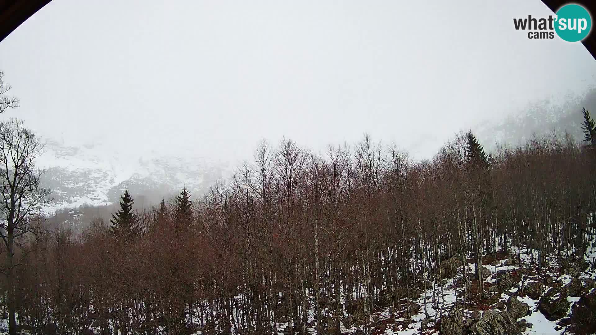 PLANINA RAZOR webcam (1315) | view to Vogel and Globoko