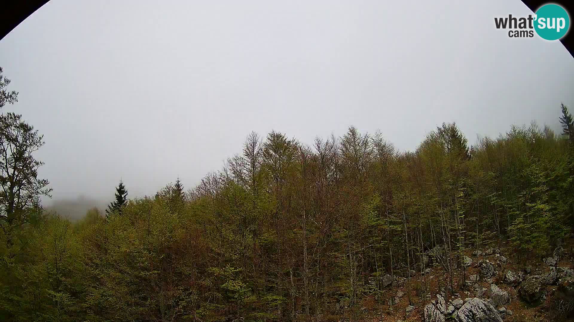 PLANINA RAZOR Live Cam (1315) | vista su Vogel e Globoko