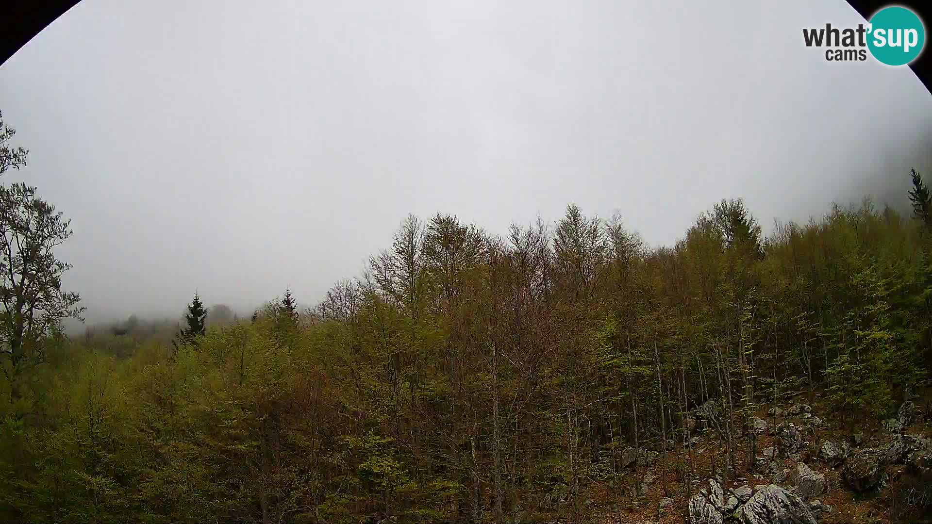 PLANINA RAZOR webcam (1315) | view to Vogel and Globoko