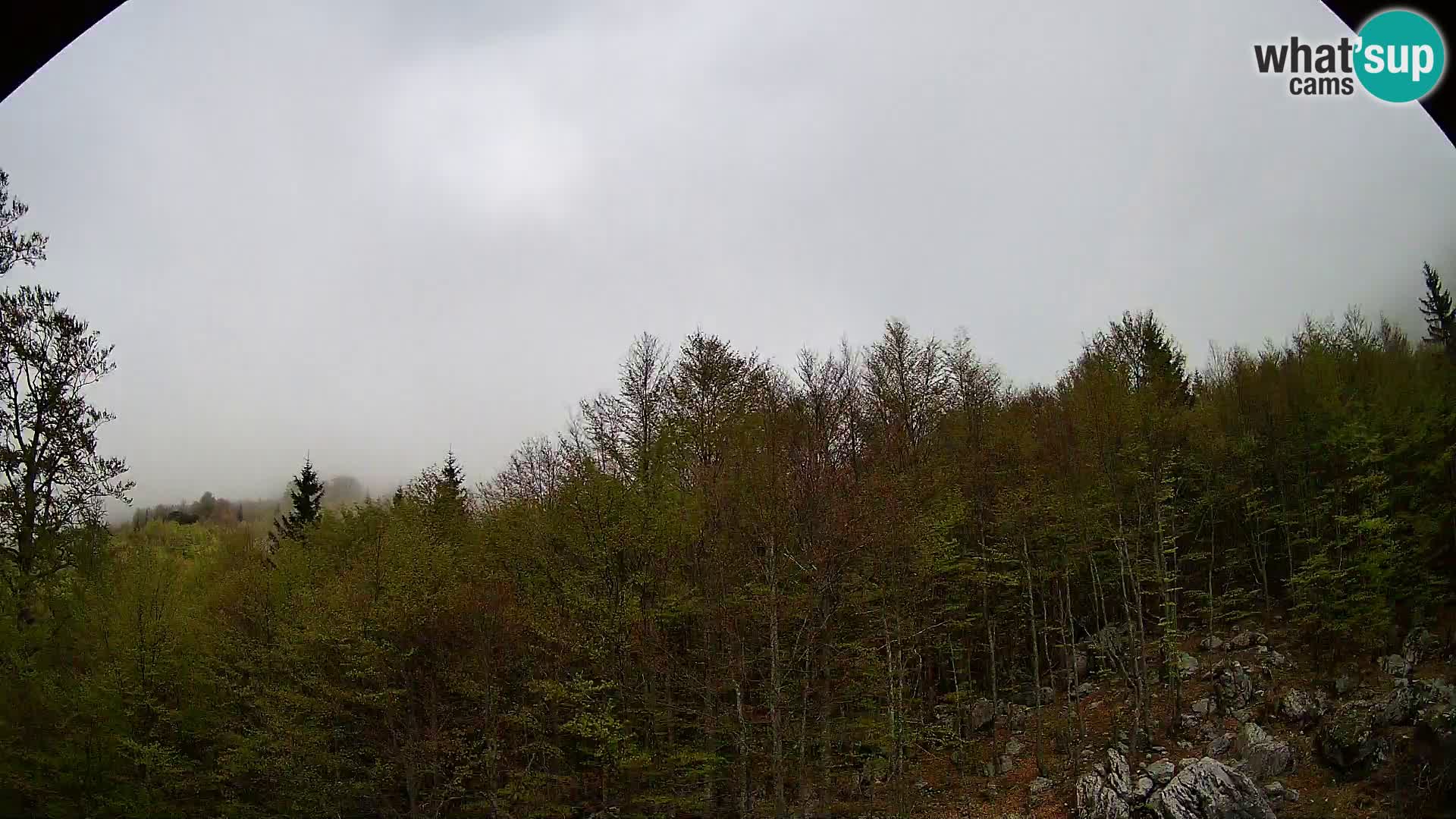 Webcam PLANINA RAZOR (1315) | Blick auf Vogel und Globoko