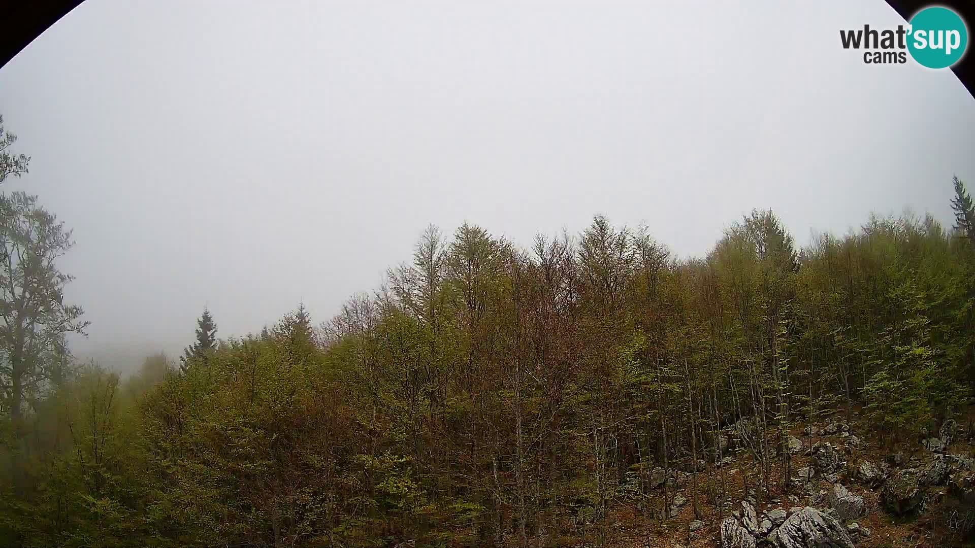 PLANINA RAZOR webcam (1315) | view to Vogel and Globoko
