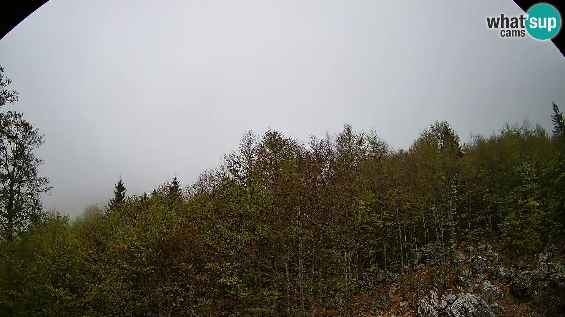 PLANINA RAZOR Live Cam (1315) | vista su Vogel e Globoko