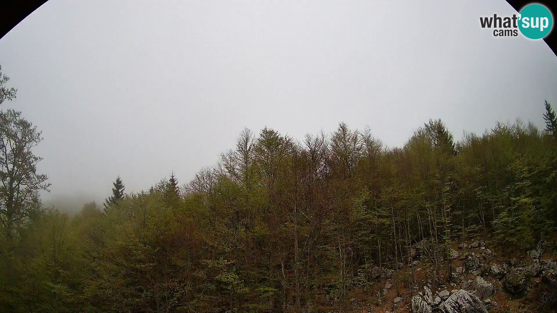 PLANINA RAZOR web kamera (1315) | pogled na Vogel i Globoko