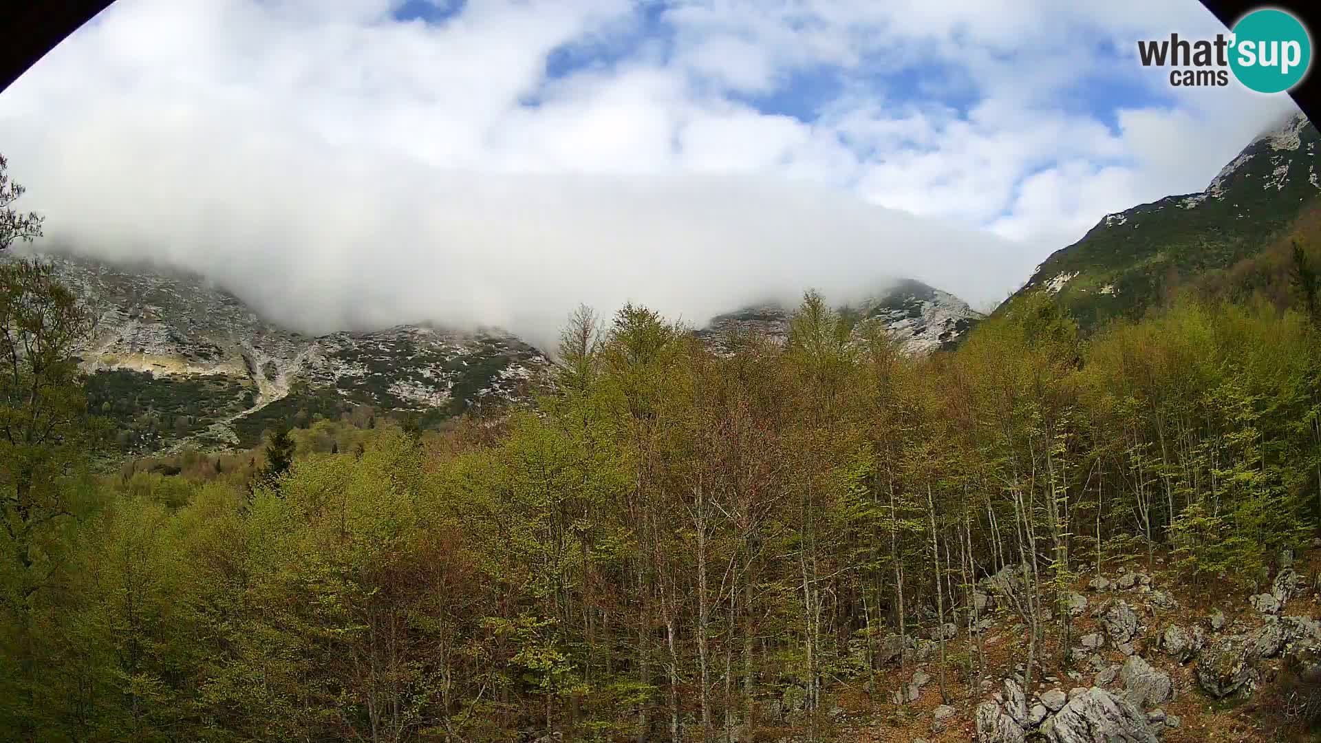PLANINA RAZOR webcam (1315) | view to Vogel and Globoko