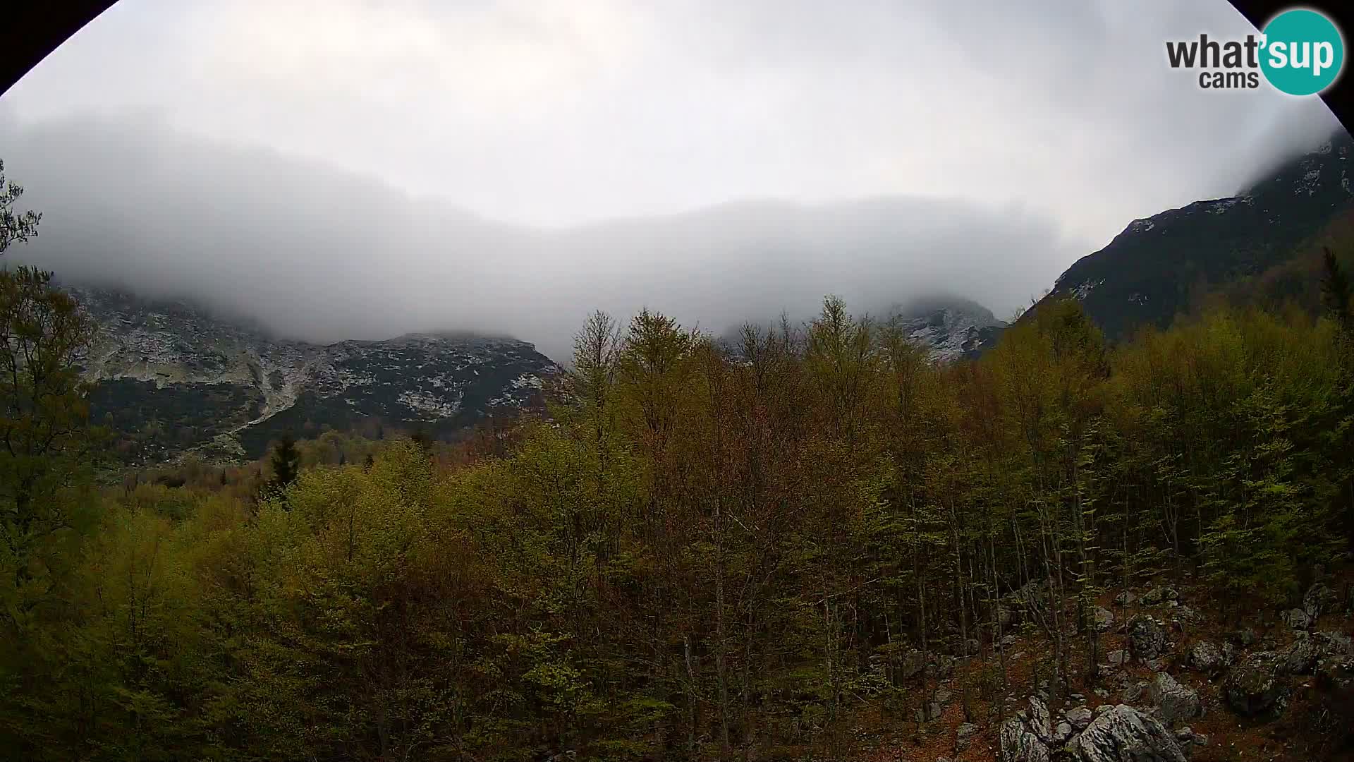 PLANINA RAZOR Live Cam (1315) | vista su Vogel e Globoko
