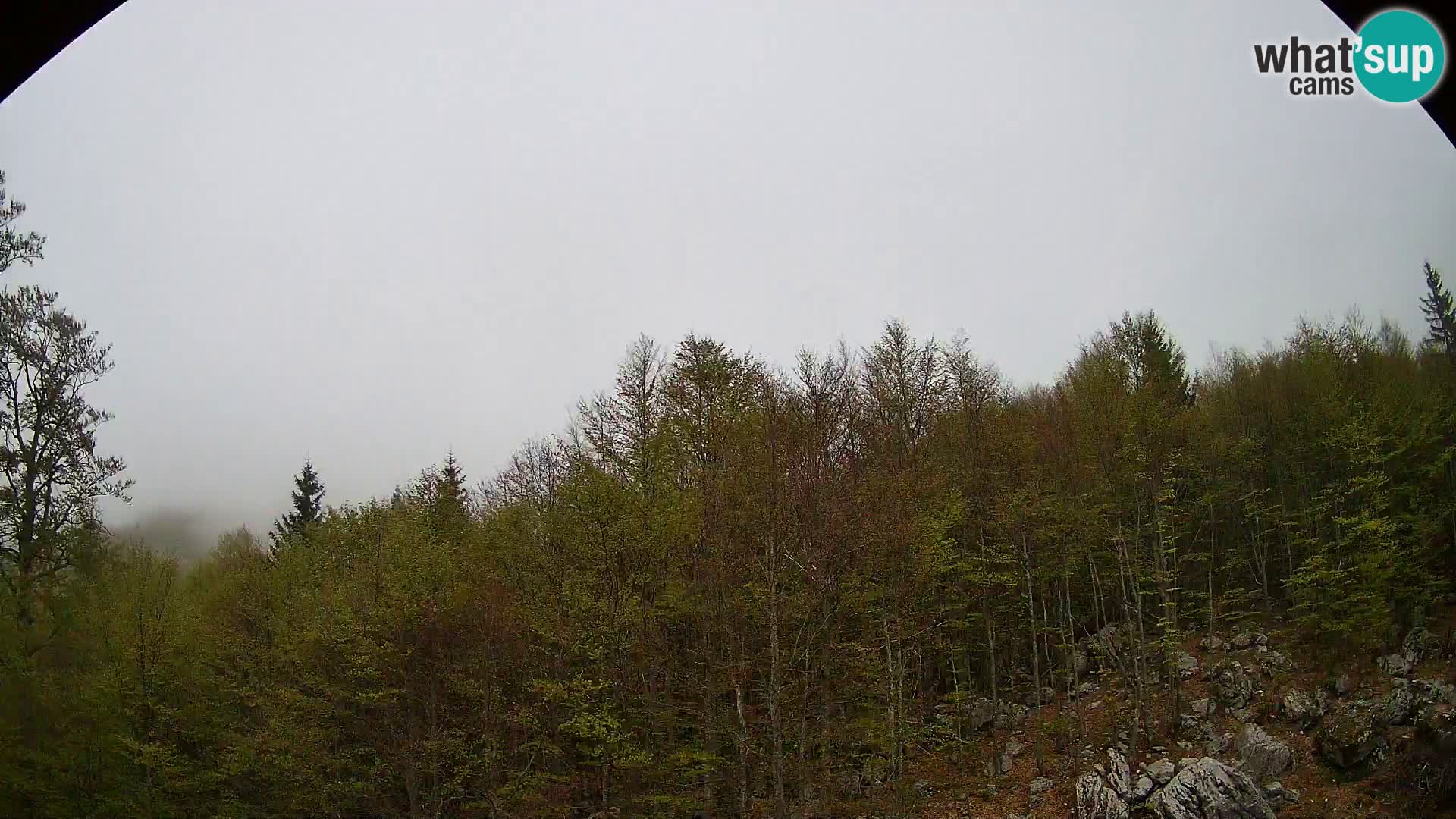 Livecam PLANINA RAZOR (1315) | vue sur Vogel et Globoko