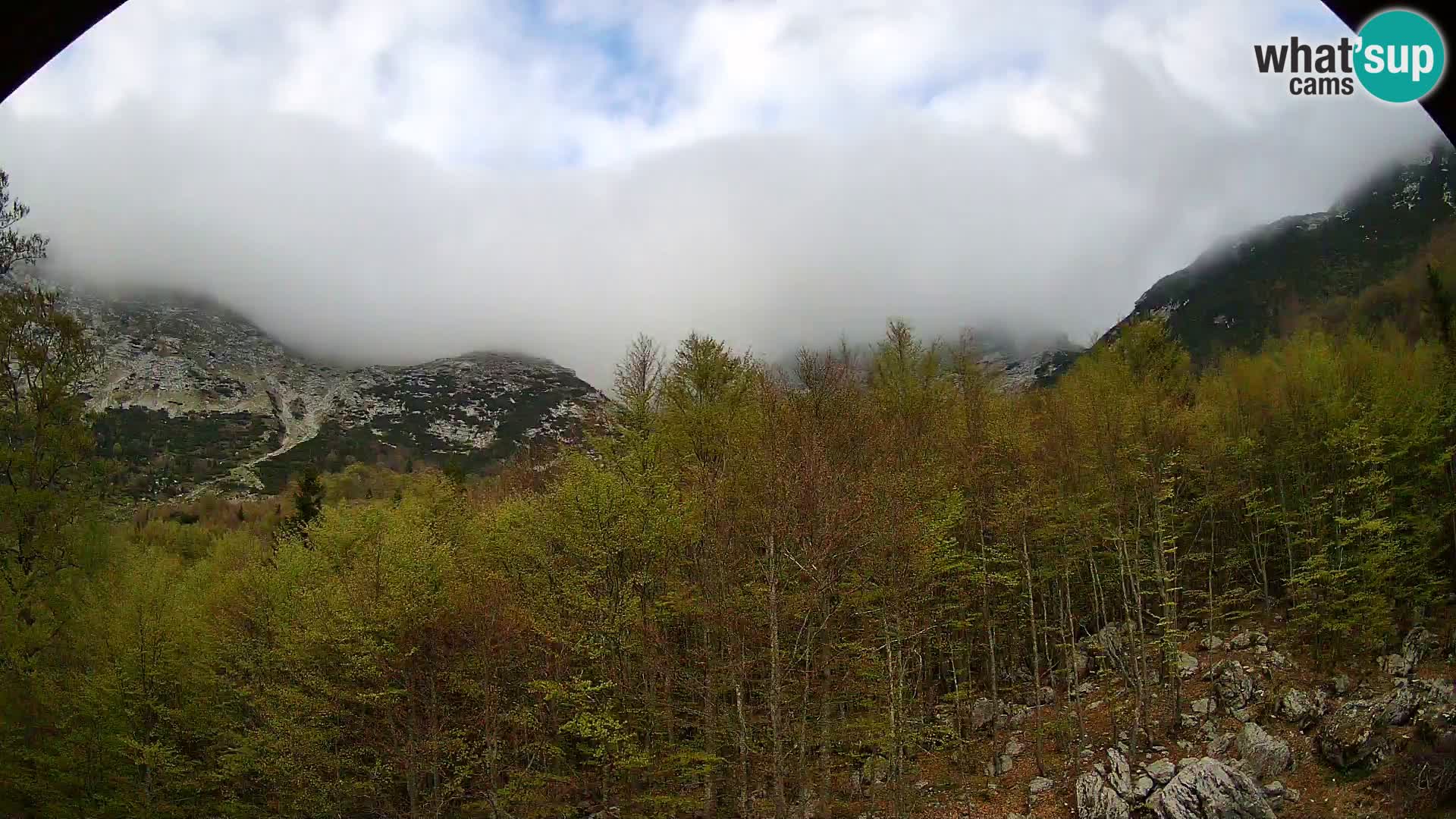 PLANINA RAZOR webcam (1315) | view to Vogel and Globoko