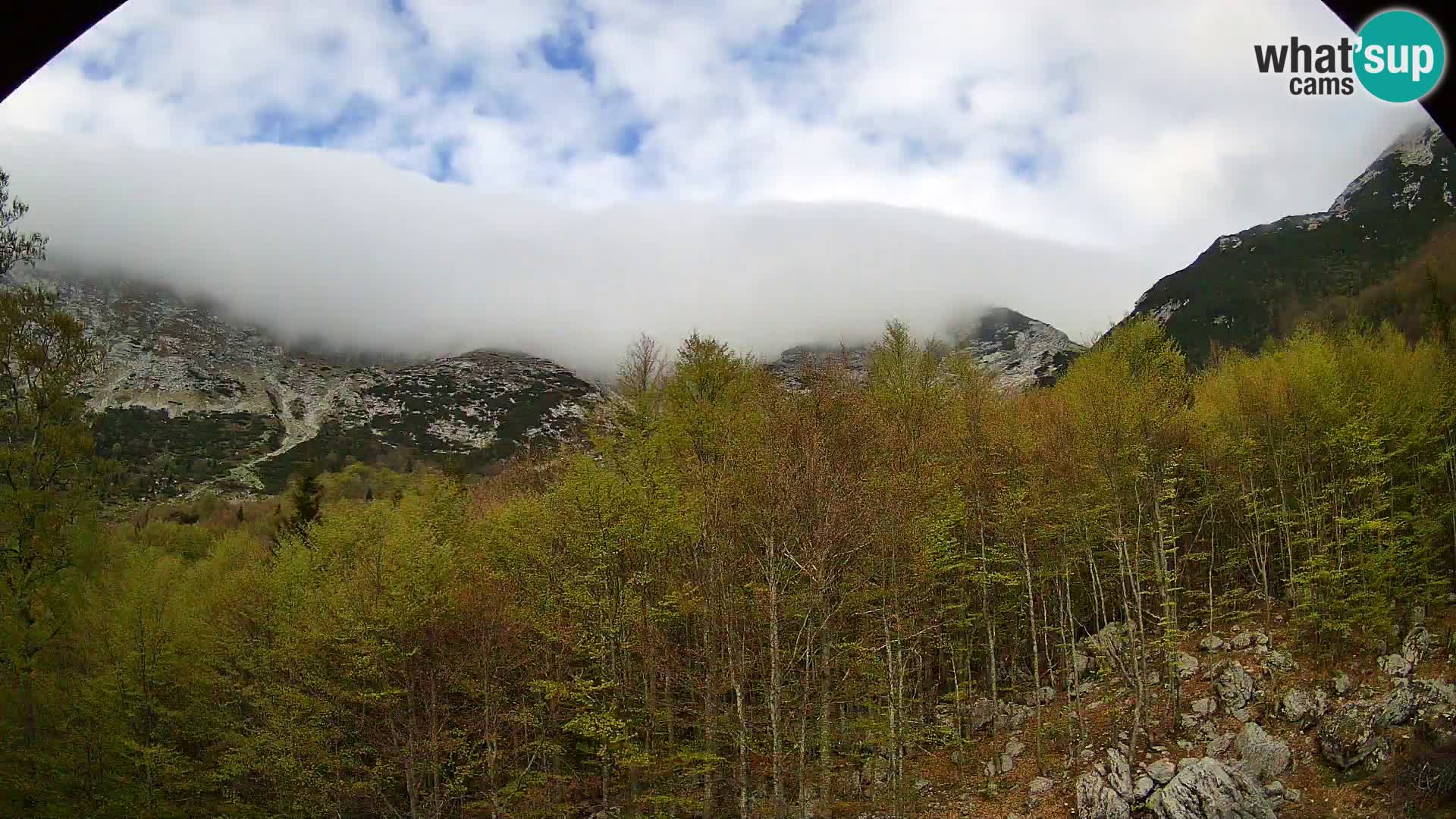 Webcam PLANINA RAZOR (1315) | Blick auf Vogel und Globoko
