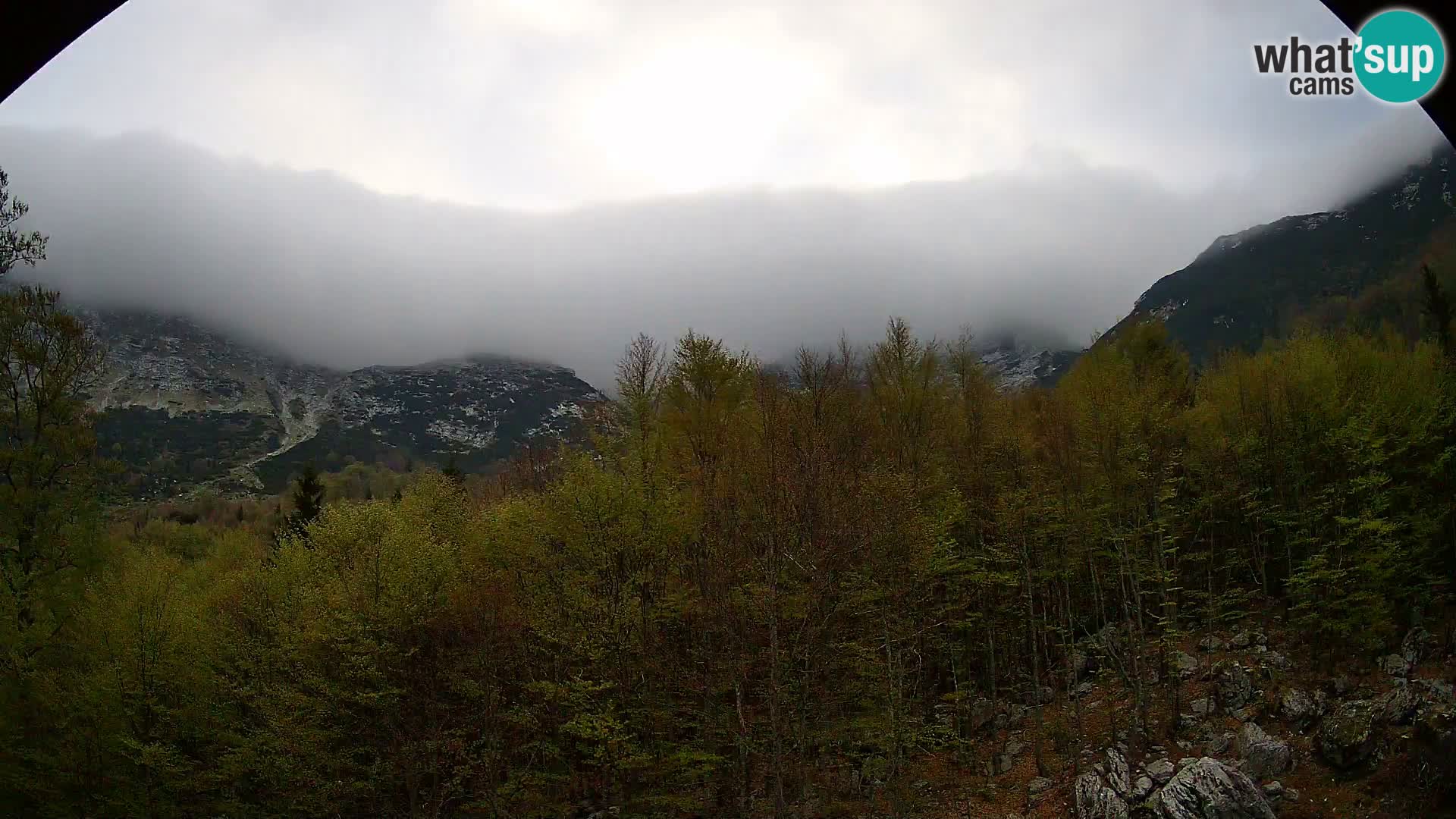 PLANINA RAZOR webcam (1315) | view to Vogel and Globoko