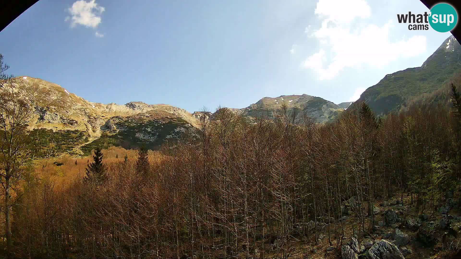 Livecam PLANINA RAZOR (1315) | vue sur Vogel et Globoko