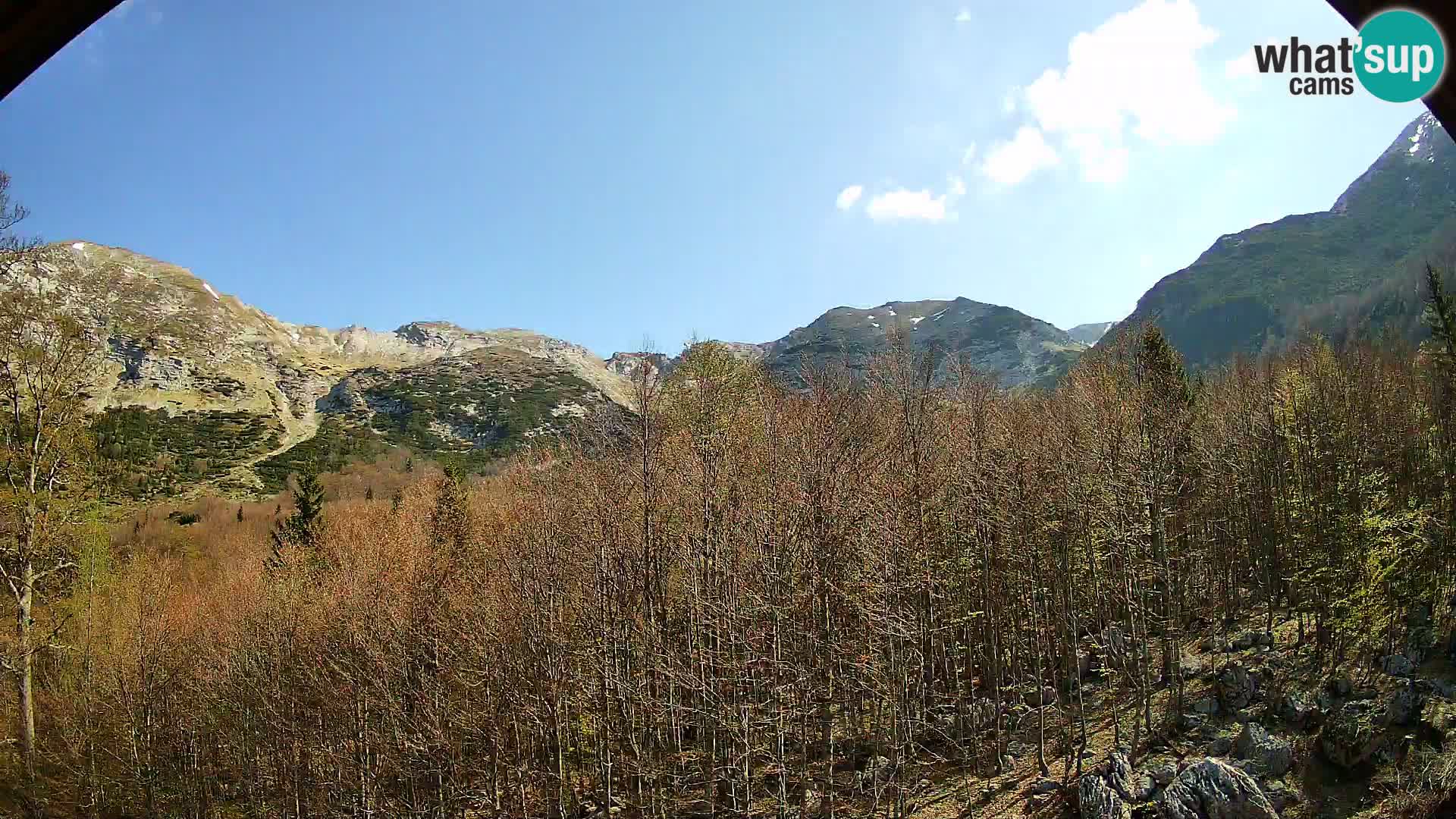 Webcam PLANINA RAZOR (1315) | Blick auf Vogel und Globoko