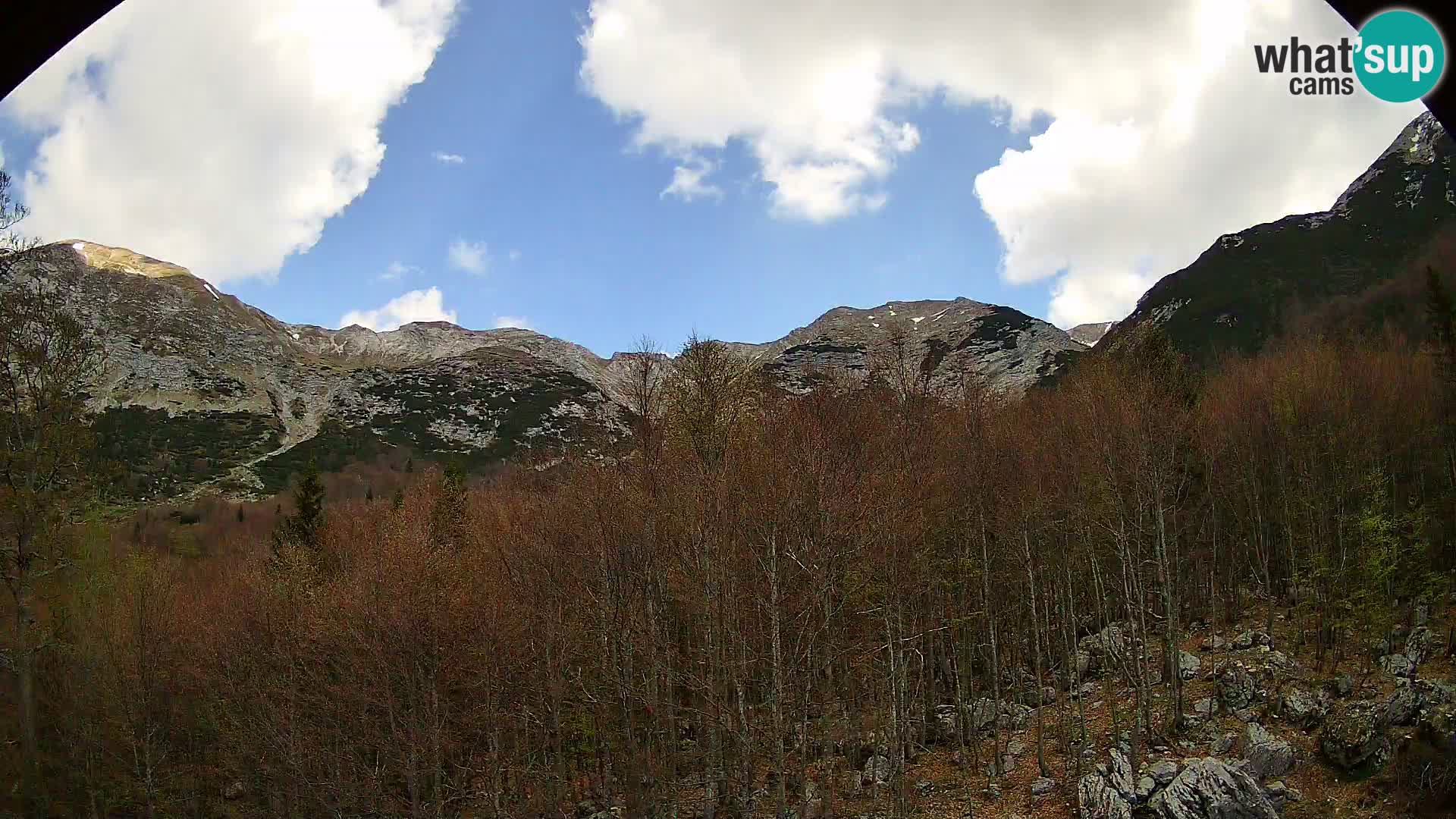 Livecam PLANINA RAZOR (1315) | vue sur Vogel et Globoko