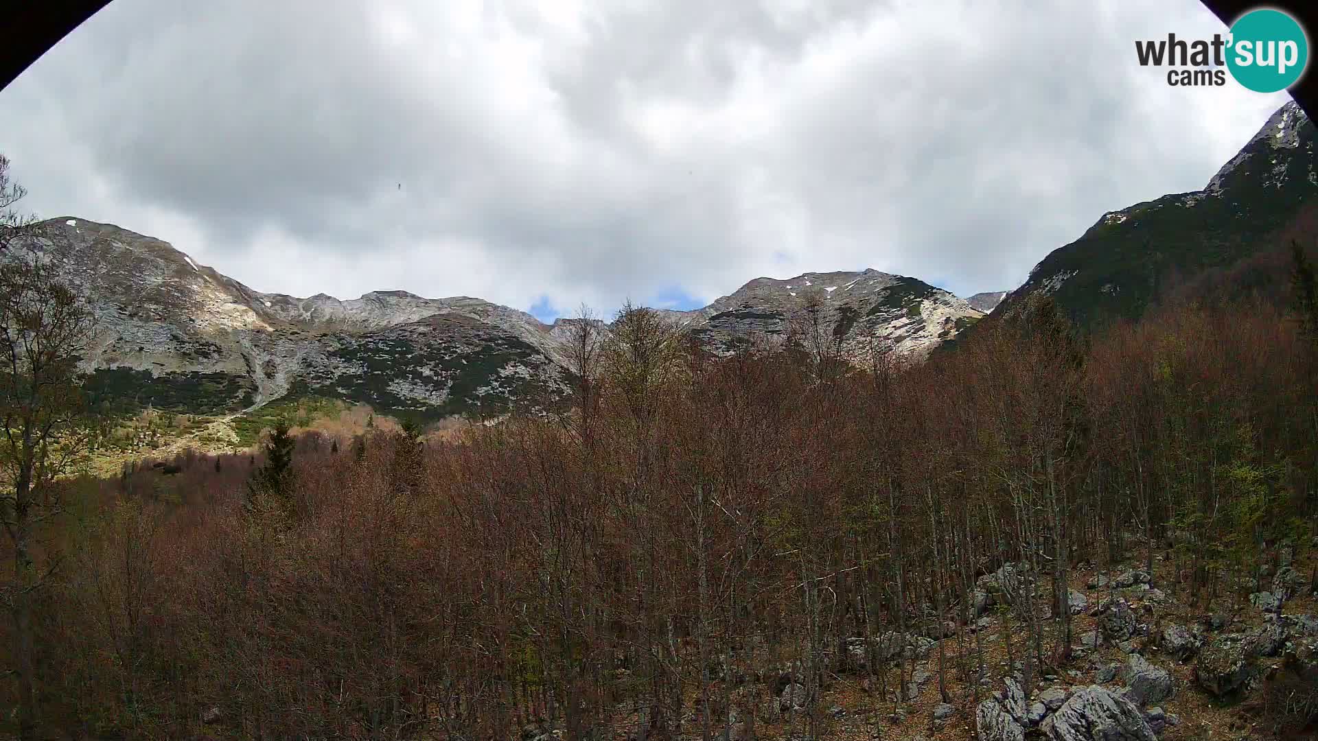 PLANINA RAZOR kamera (1315) | pogled na Vogel in Globoko