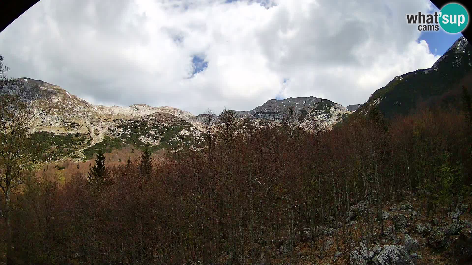 PLANINA RAZOR kamera (1315) | pogled na Vogel in Globoko