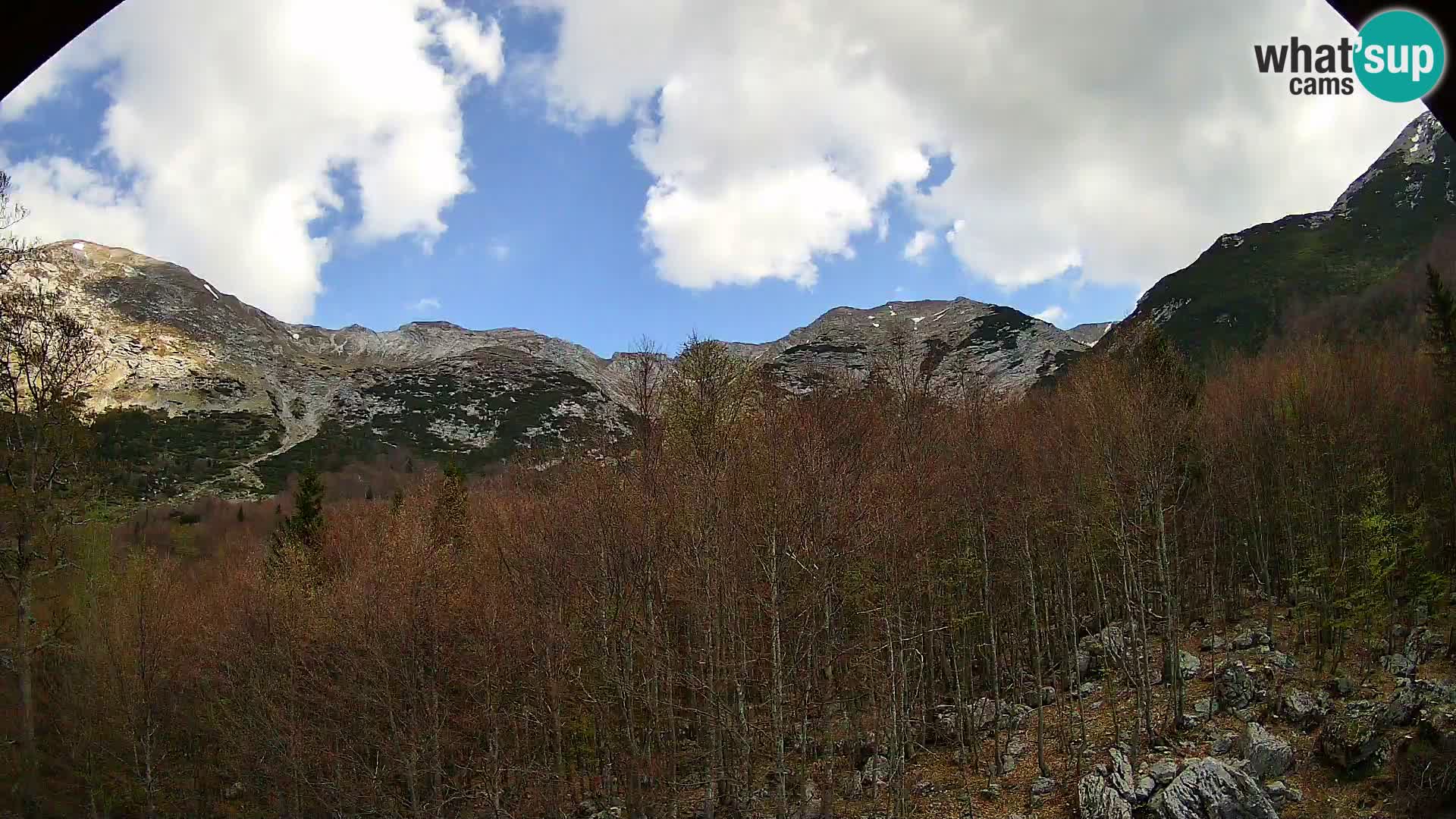 Cámara web PLANINA RAZOR (1315) | vista a Vogel y Globoko