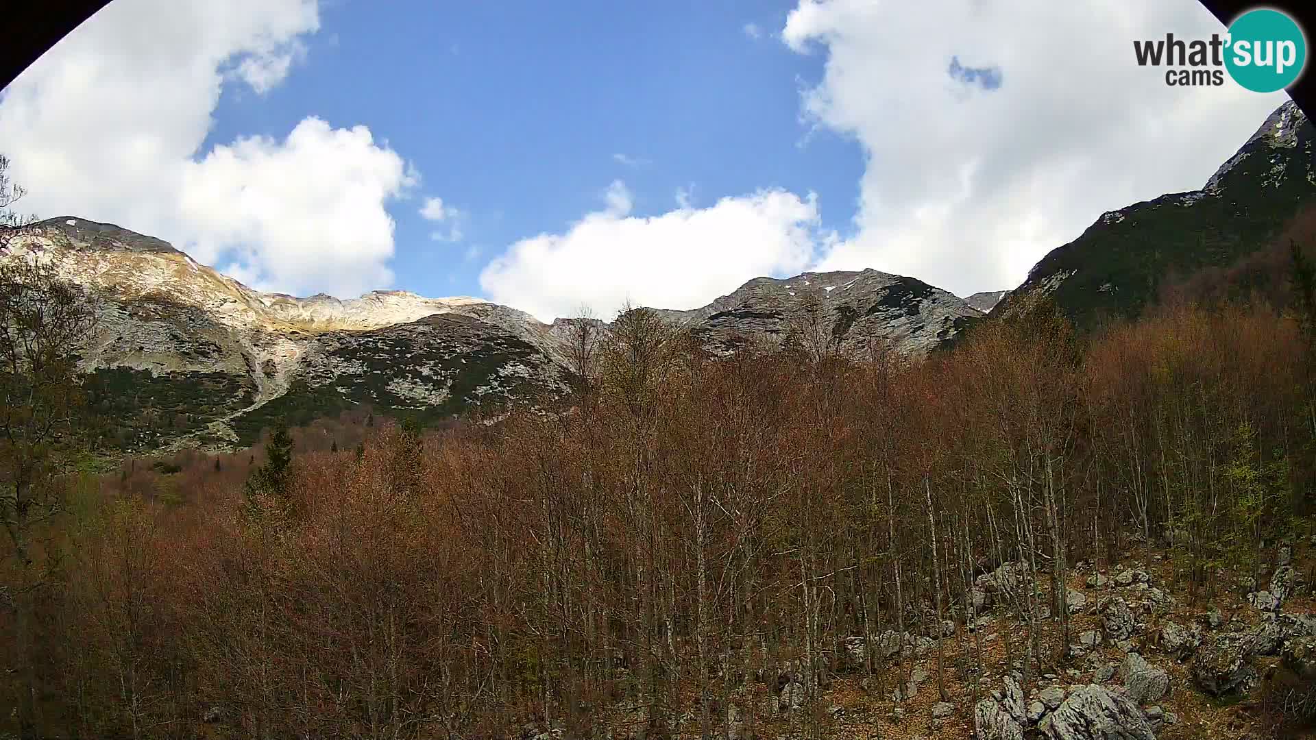 Webcam PLANINA RAZOR (1315) | Blick auf Vogel und Globoko