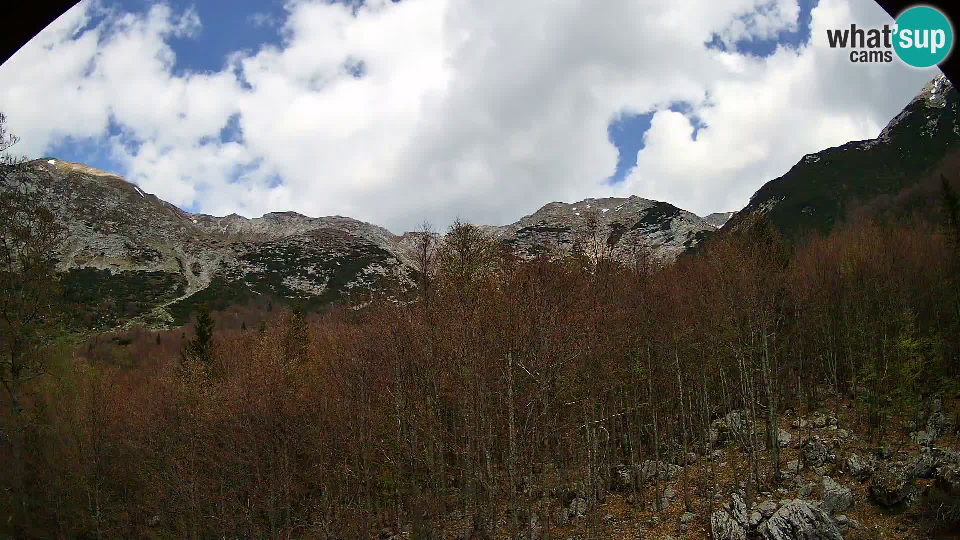 PLANINA RAZOR web kamera (1315) | pogled na Vogel i Globoko
