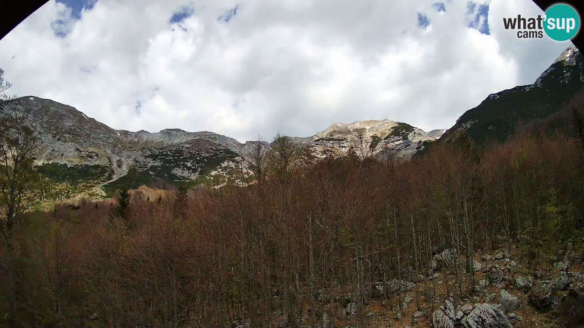 PLANINA RAZOR Live Cam (1315) | vista su Vogel e Globoko