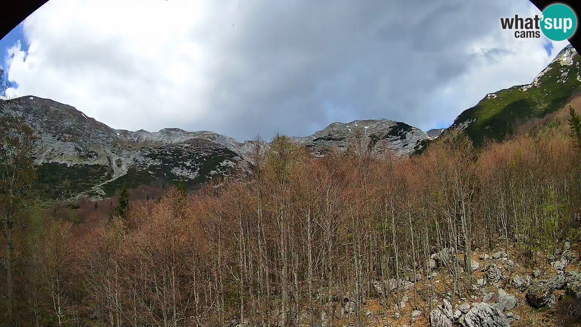 PLANINA RAZOR Live Cam (1315) | vista su Vogel e Globoko