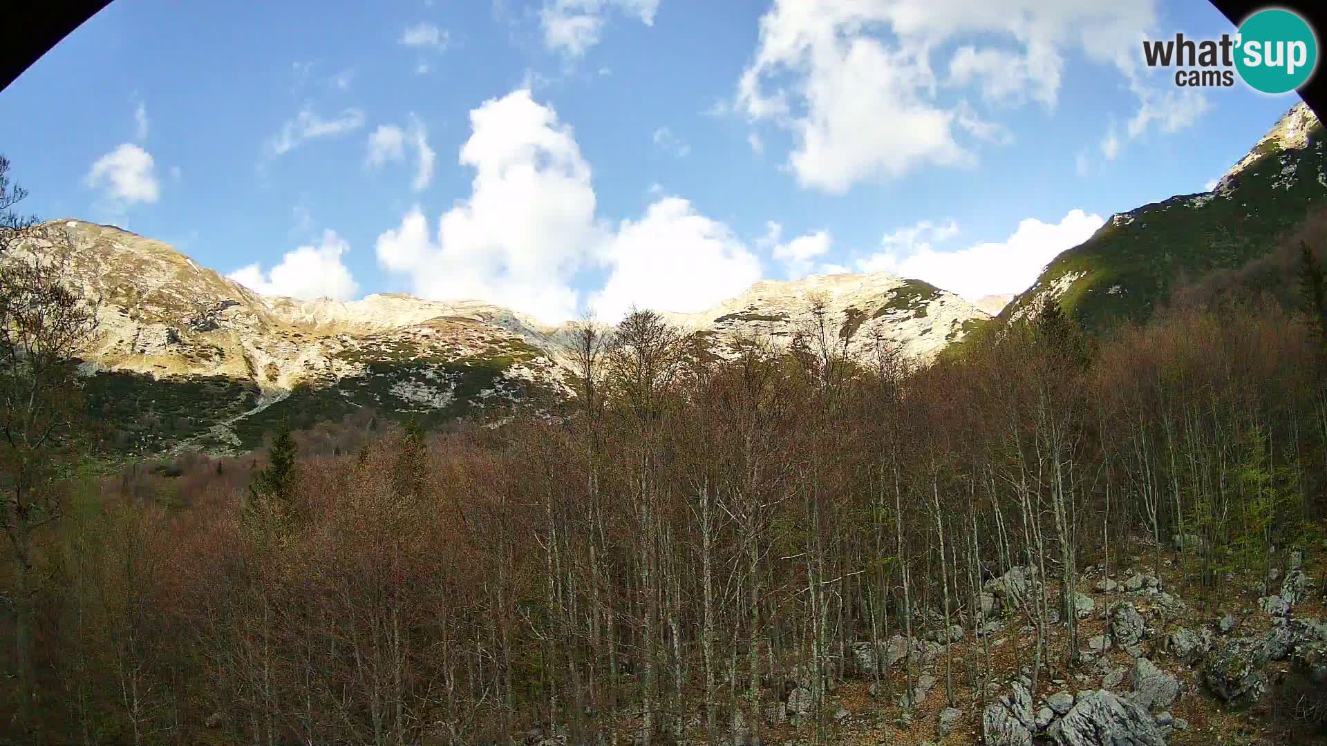 PLANINA RAZOR web kamera (1315) | pogled na Vogel i Globoko