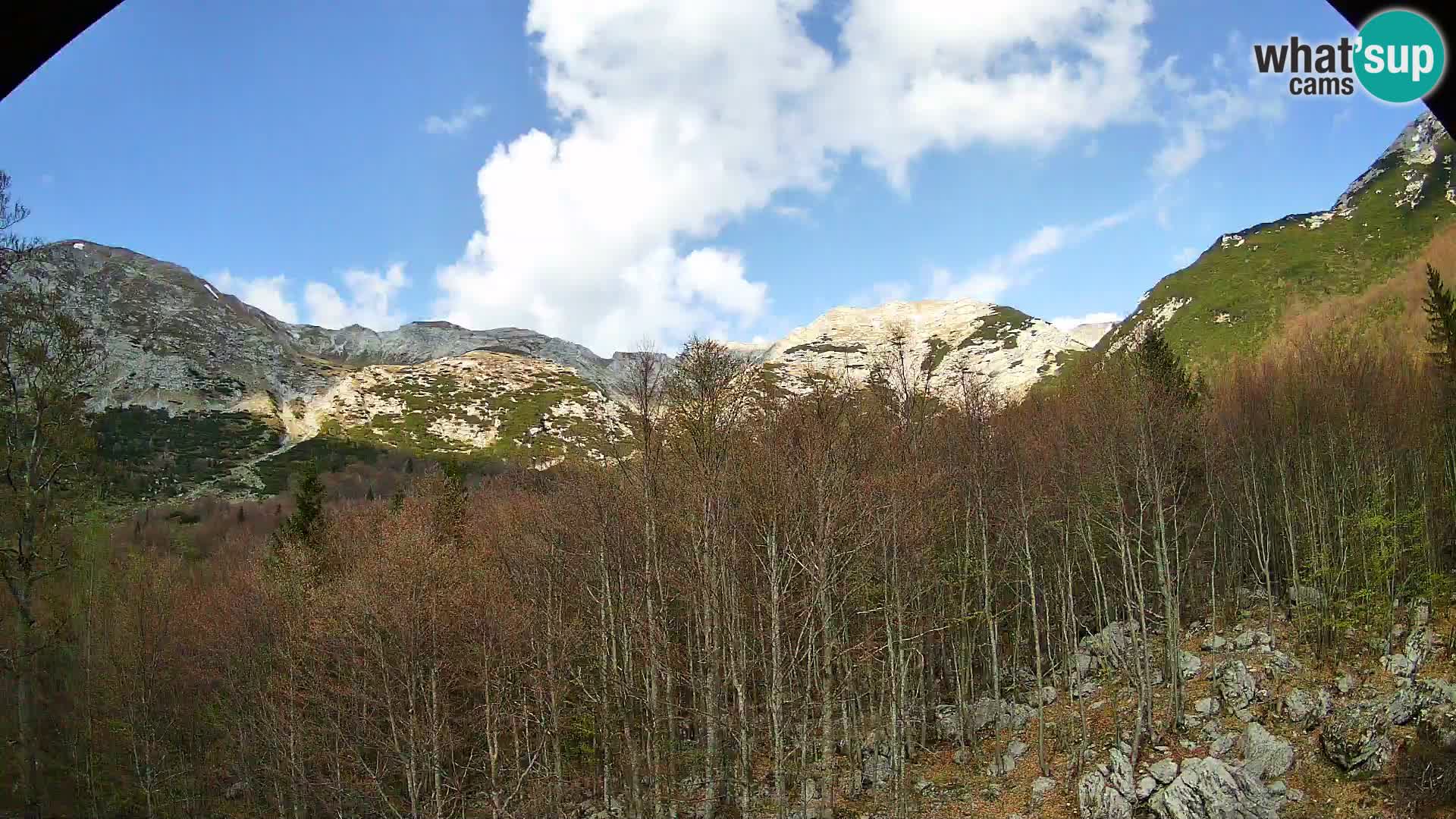 PLANINA RAZOR web kamera (1315) | pogled na Vogel i Globoko