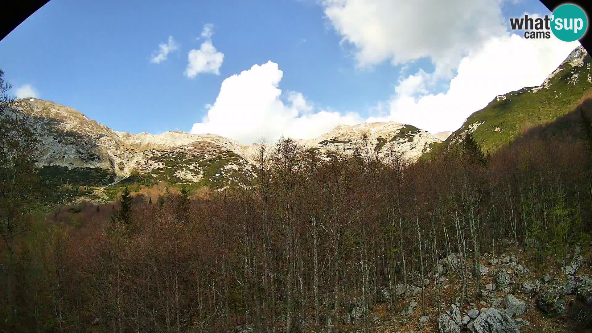 PLANINA RAZOR kamera (1315) | pogled na Vogel in Globoko