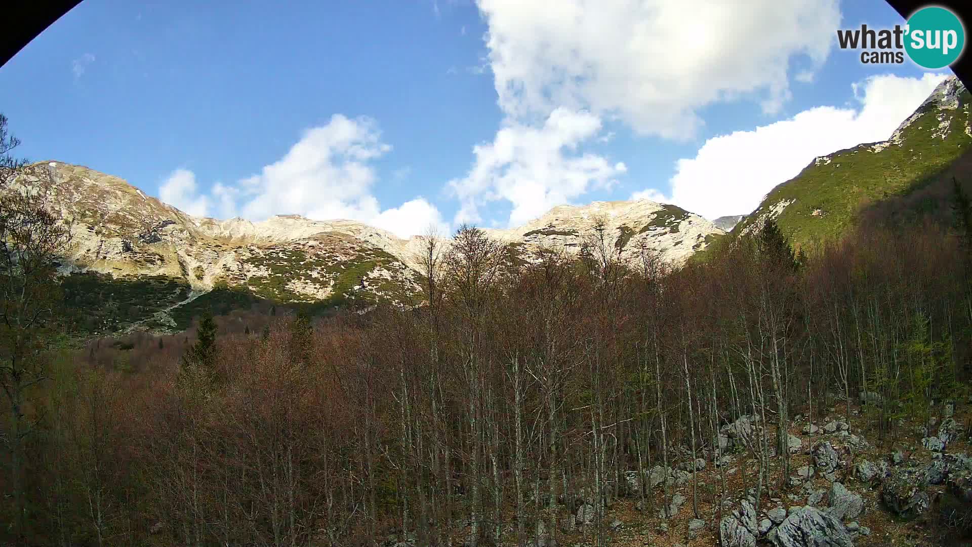 PLANINA RAZOR kamera (1315) | pogled na Vogel in Globoko