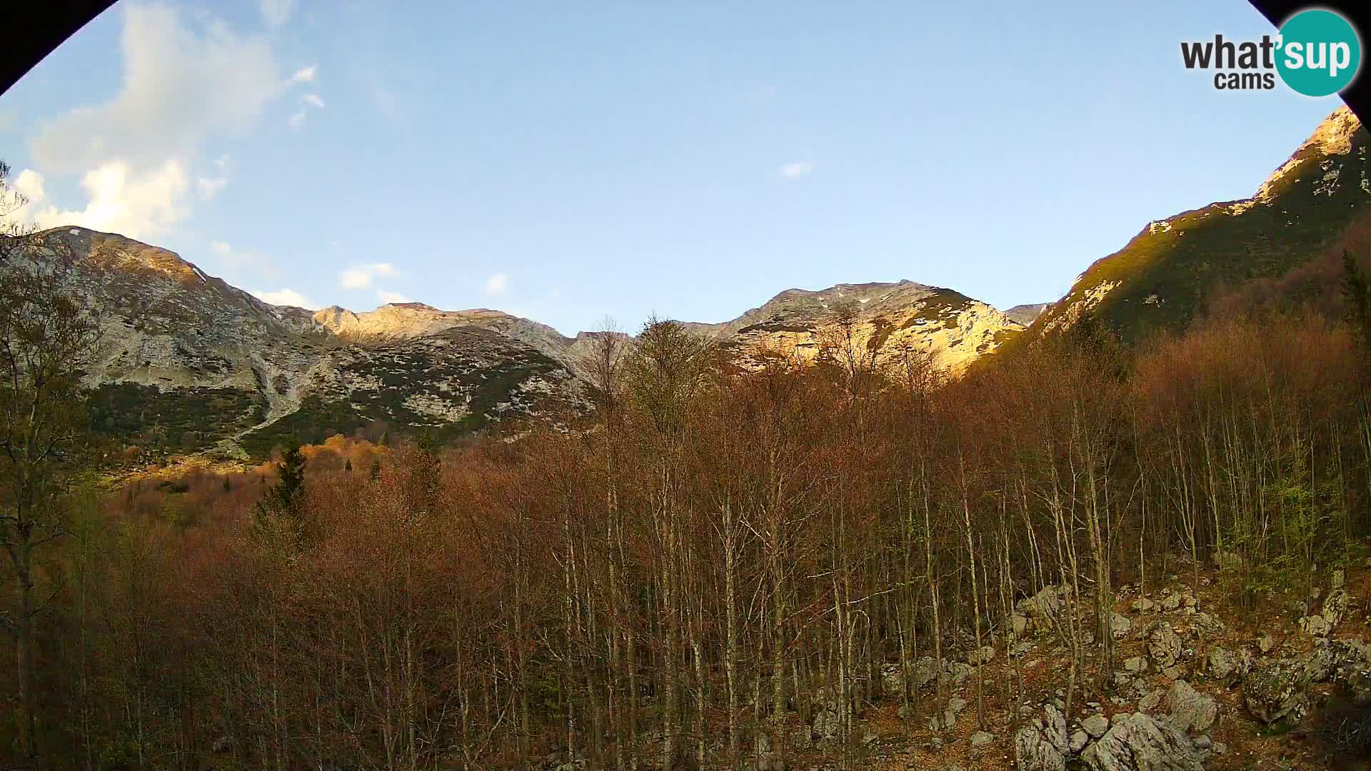 Cámara web PLANINA RAZOR (1315) | vista a Vogel y Globoko