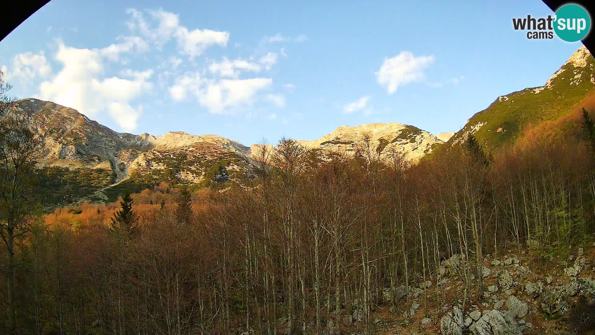 Livecam PLANINA RAZOR (1315) | vue sur Vogel et Globoko
