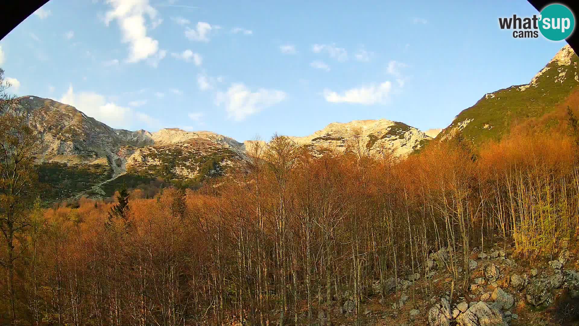 Livecam PLANINA RAZOR (1315) | vue sur Vogel et Globoko