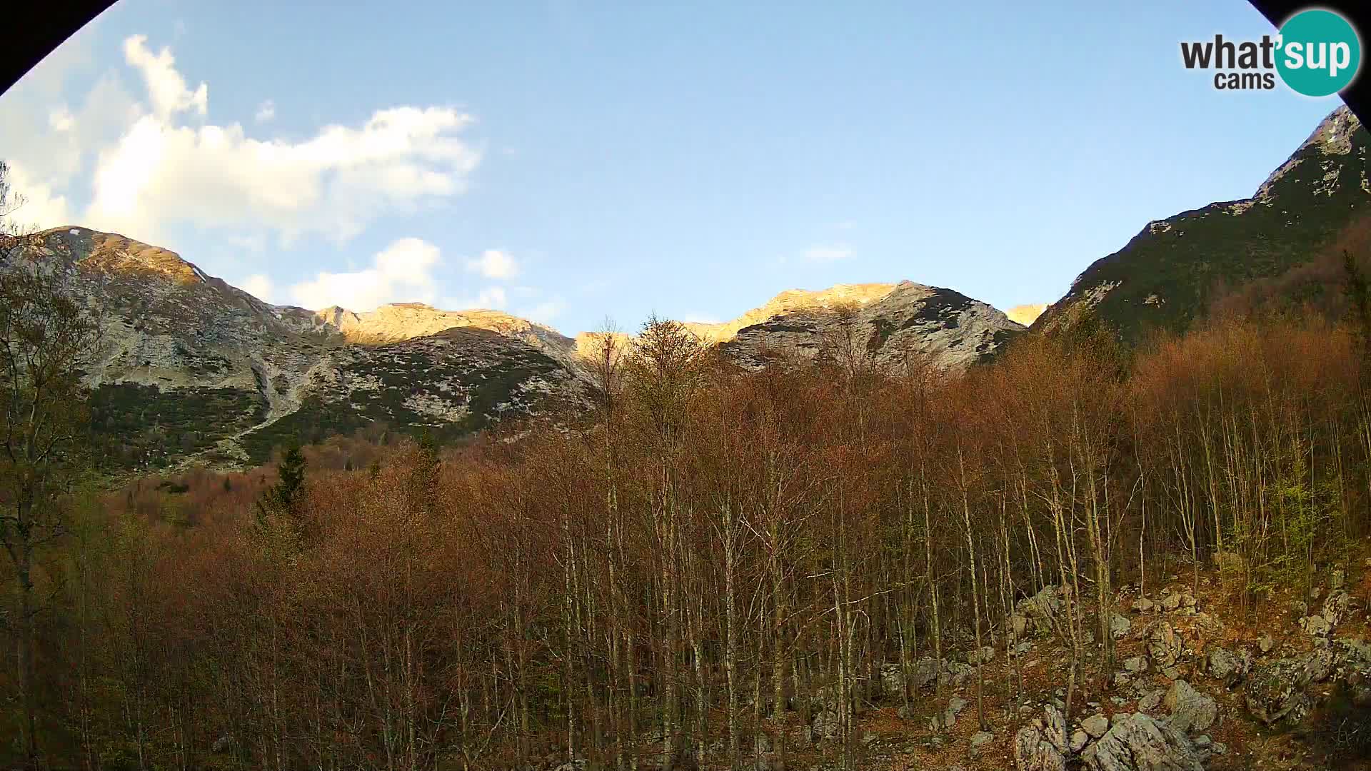 Cámara web PLANINA RAZOR (1315) | vista a Vogel y Globoko
