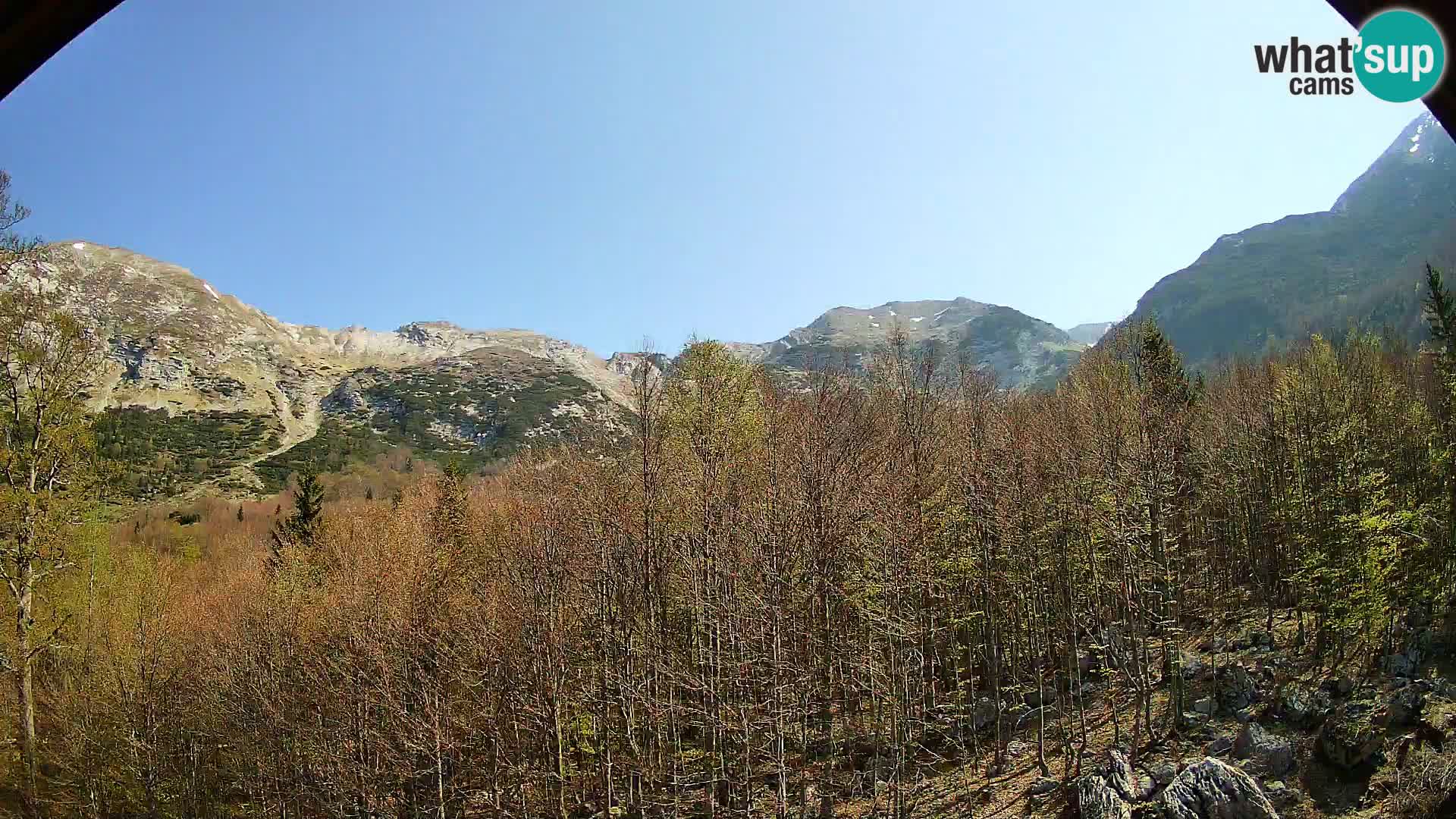 PLANINA RAZOR Live Cam (1315) | vista su Vogel e Globoko