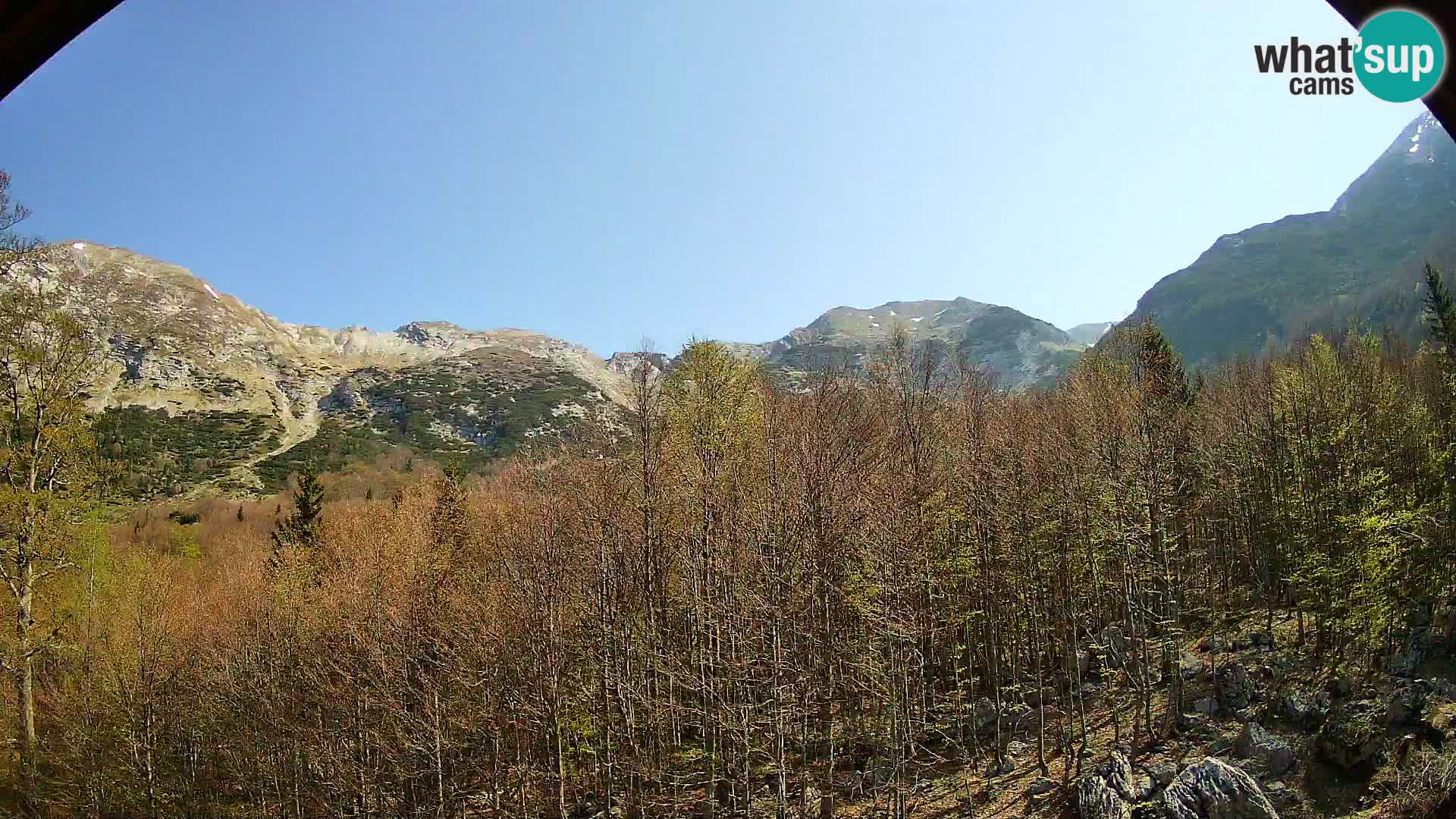 PLANINA RAZOR Live Cam (1315) | vista su Vogel e Globoko