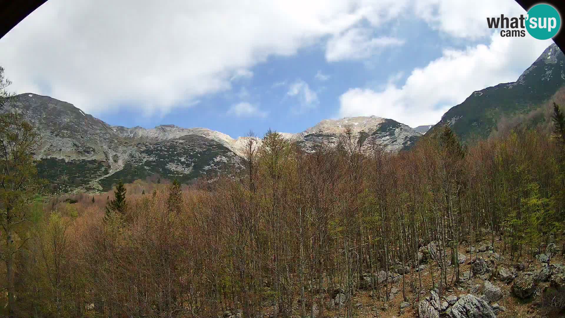 PLANINA RAZOR webcam (1315) | view to Vogel and Globoko