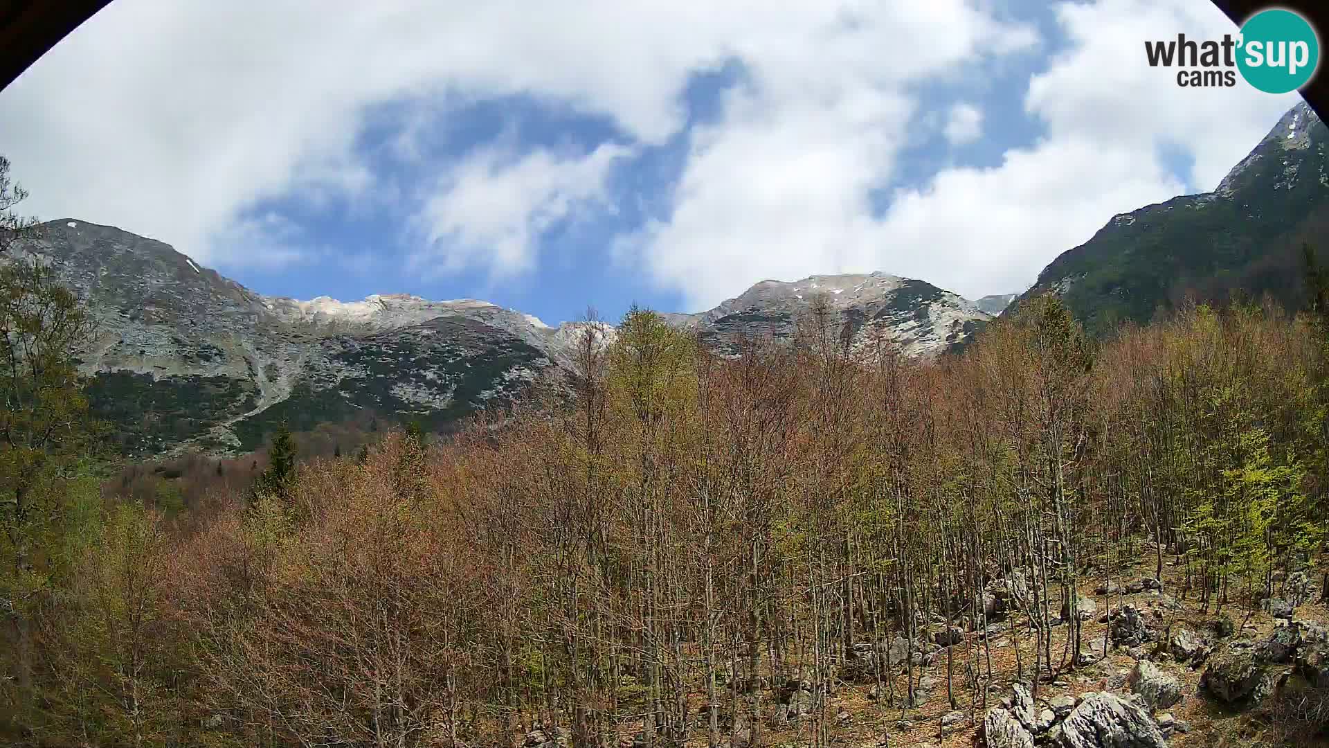 PLANINA RAZOR Live Cam (1315) | vista su Vogel e Globoko