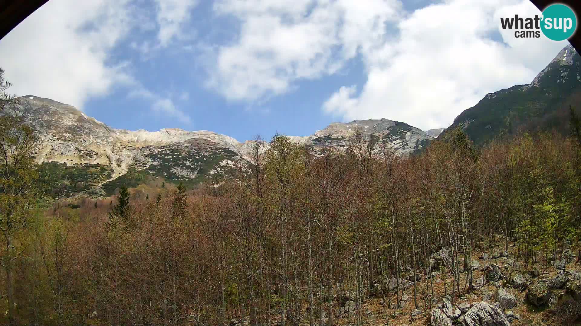 PLANINA RAZOR web kamera (1315) | pogled na Vogel i Globoko