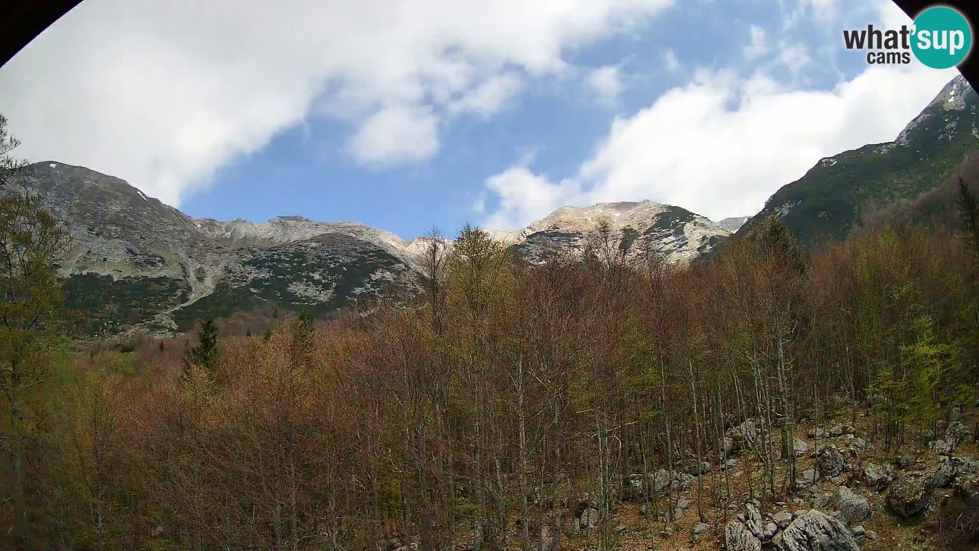 Webcam PLANINA RAZOR (1315) | Blick auf Vogel und Globoko