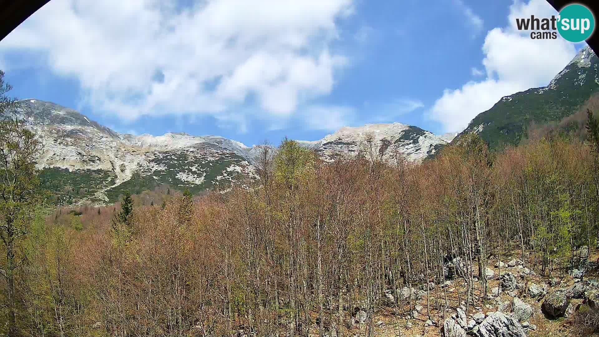 Webcam PLANINA RAZOR (1315) | Blick auf Vogel und Globoko