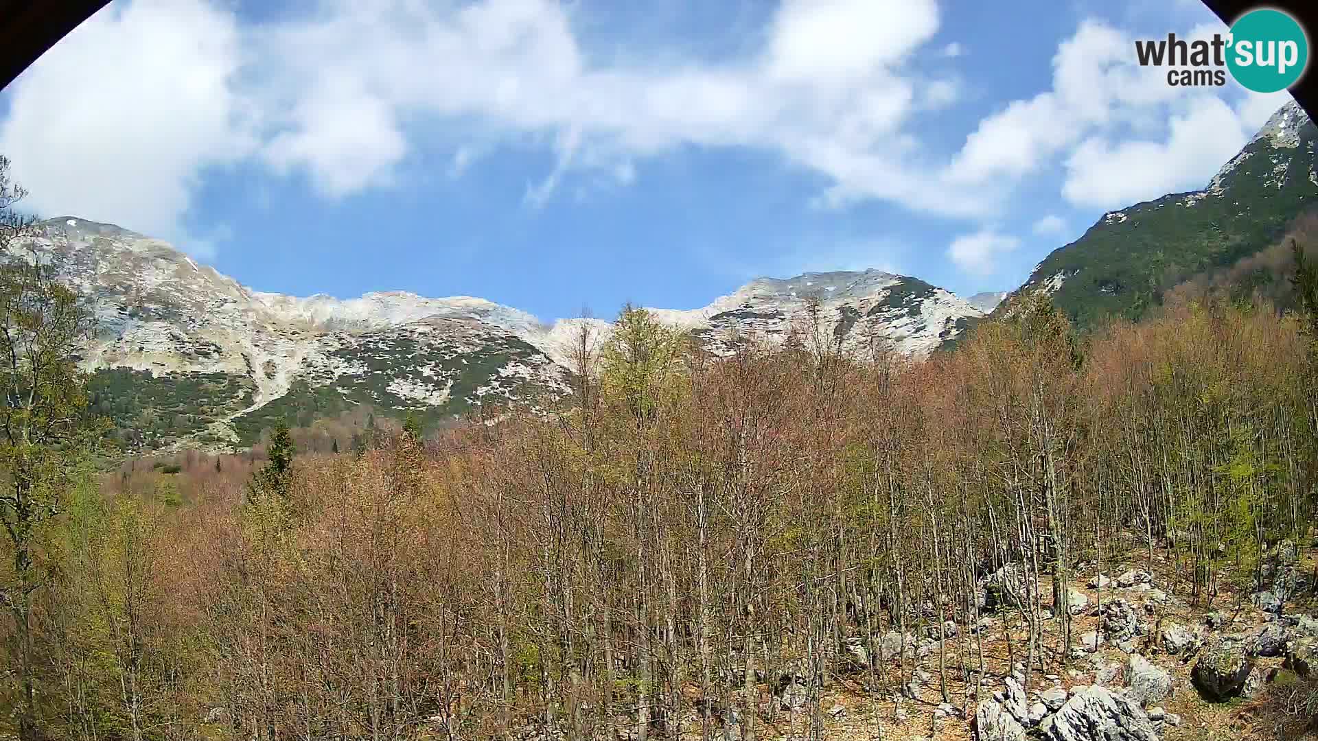 PLANINA RAZOR web kamera (1315) | pogled na Vogel i Globoko